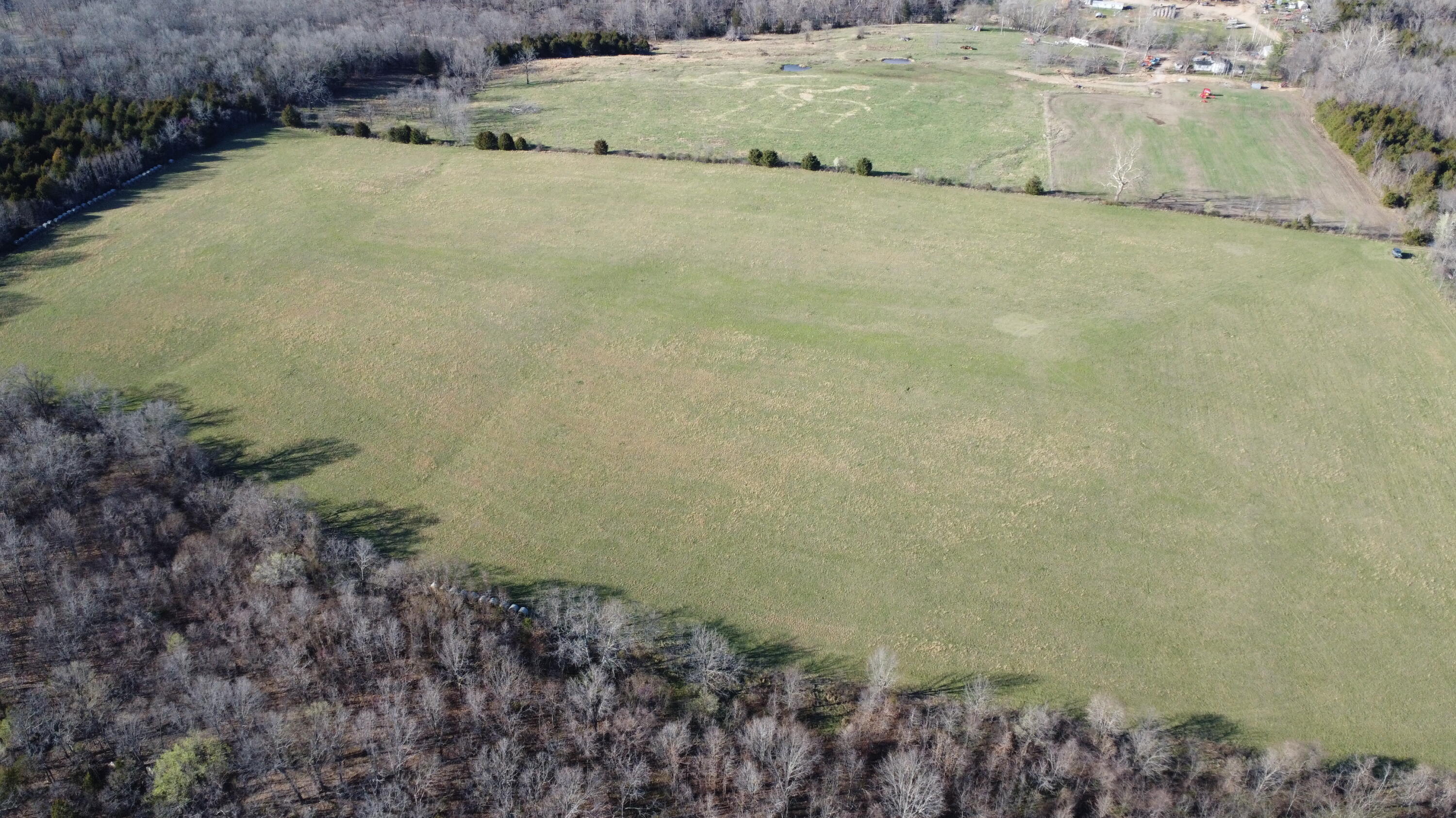 Photo 8 - Land for sale – 000  County Road T-450   Oldfield, MO
