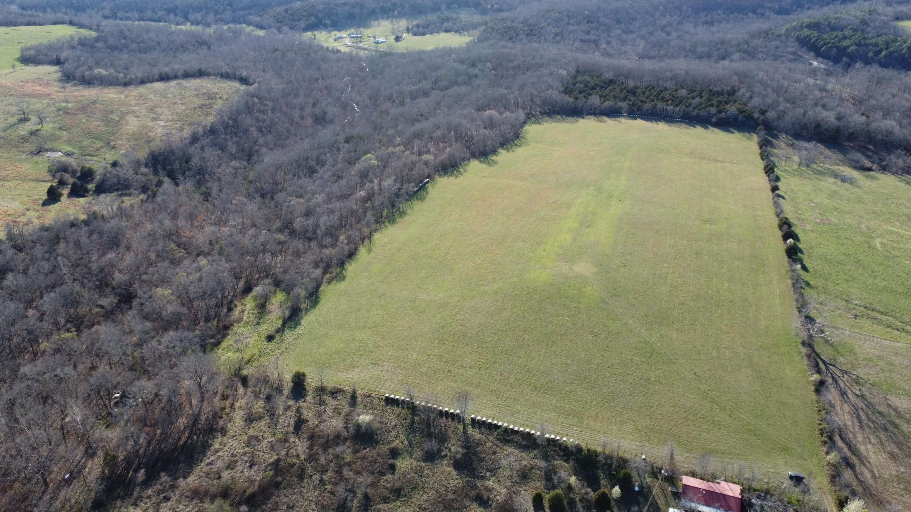 Photo 2 - Land for sale – 000  County Road T-450   Oldfield, MO