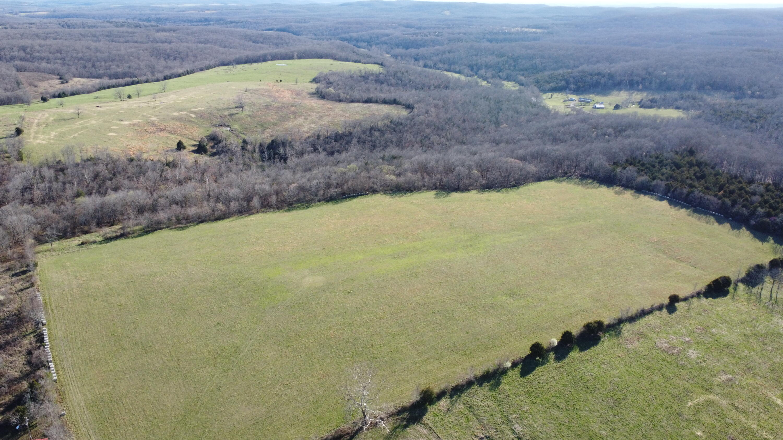 Photo 3 - Land for sale – 000  County Road T-450   Oldfield, MO