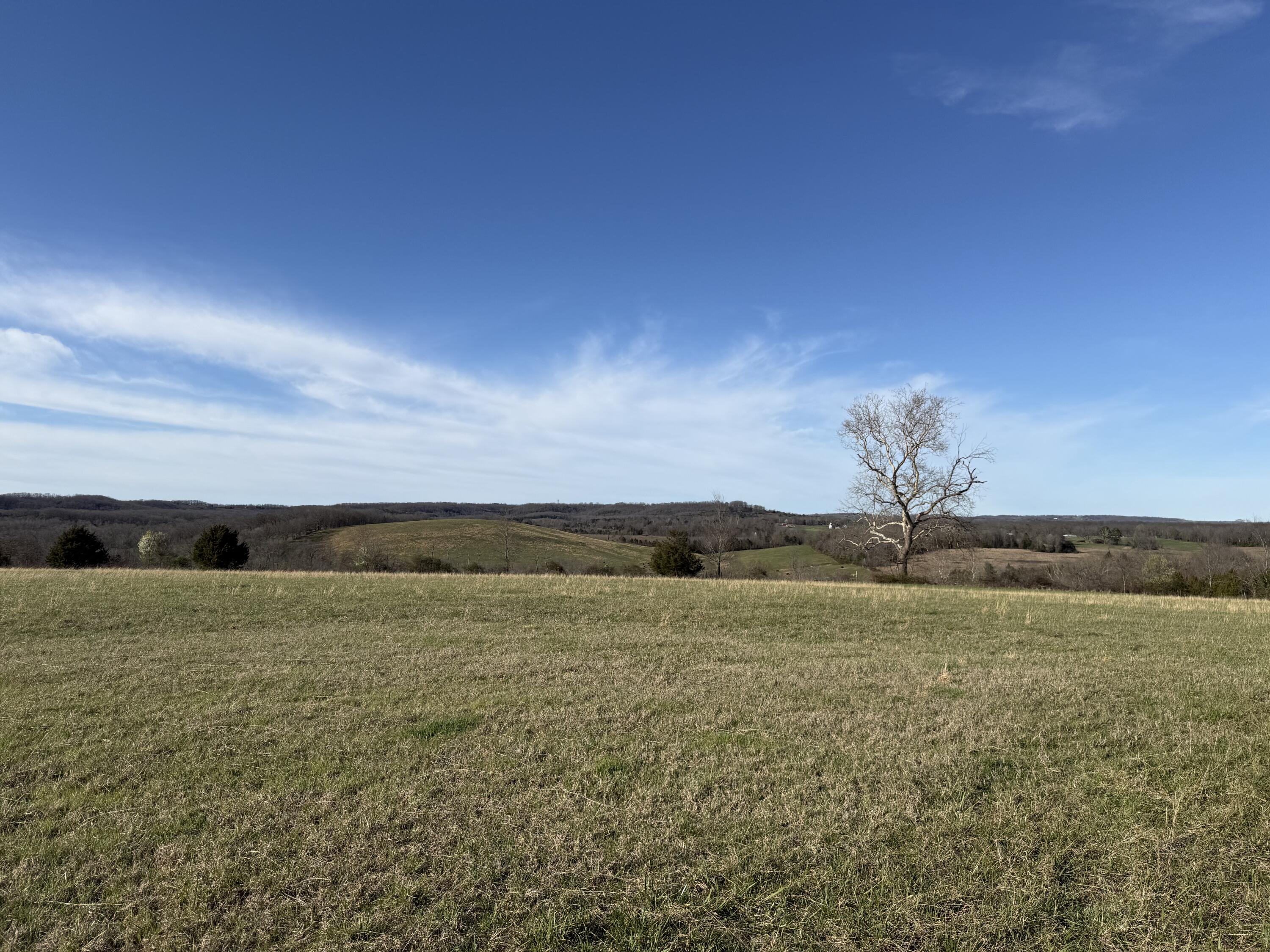 Photo 9 - Land for sale – 000  County Road T-450   Oldfield, MO