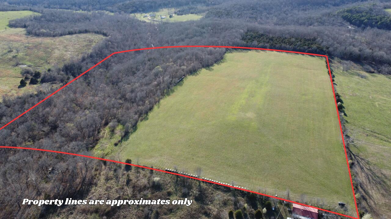 Land for sale – 000  County Road T-450   Oldfield, MO