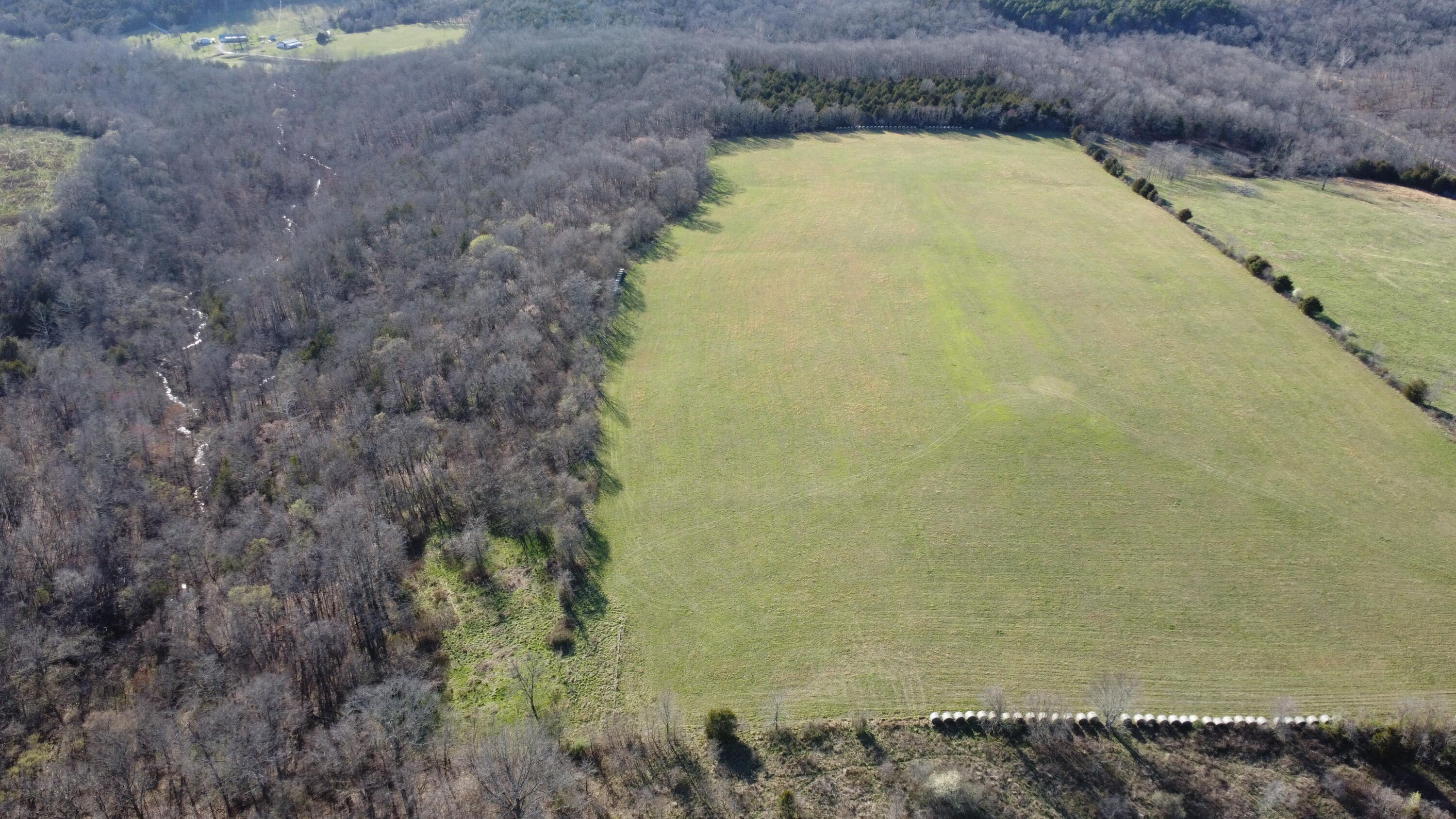 Photo 5 - Land for sale – 000  County Road T-450   Oldfield, MO