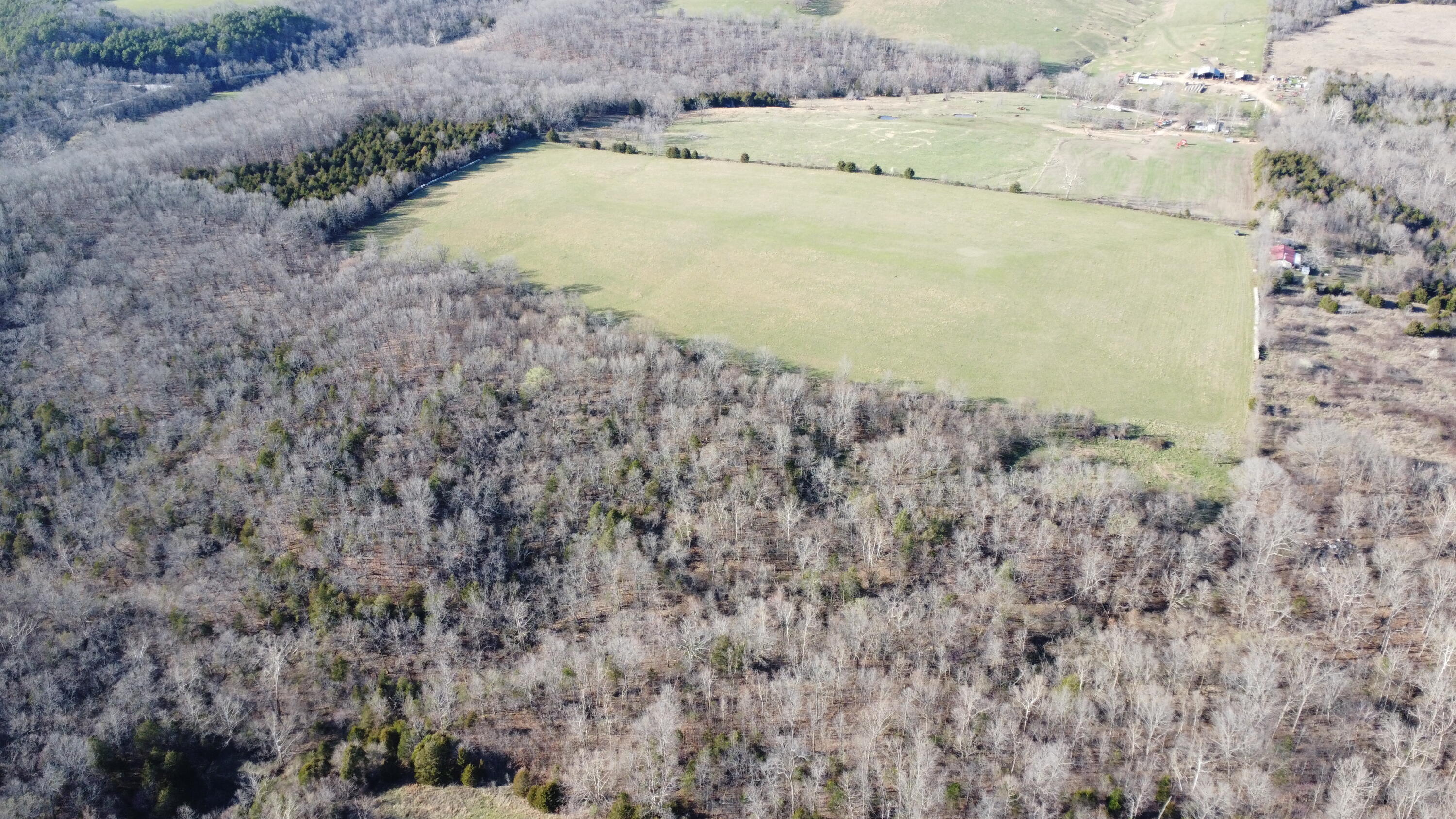 Photo 7 - Land for sale – 000  County Road T-450   Oldfield, MO