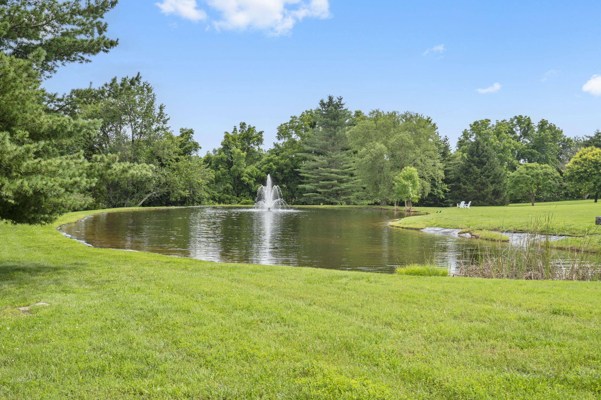 Photo 107 - Residential for sale – 318 S Farm Road 193   Springfield, MO
