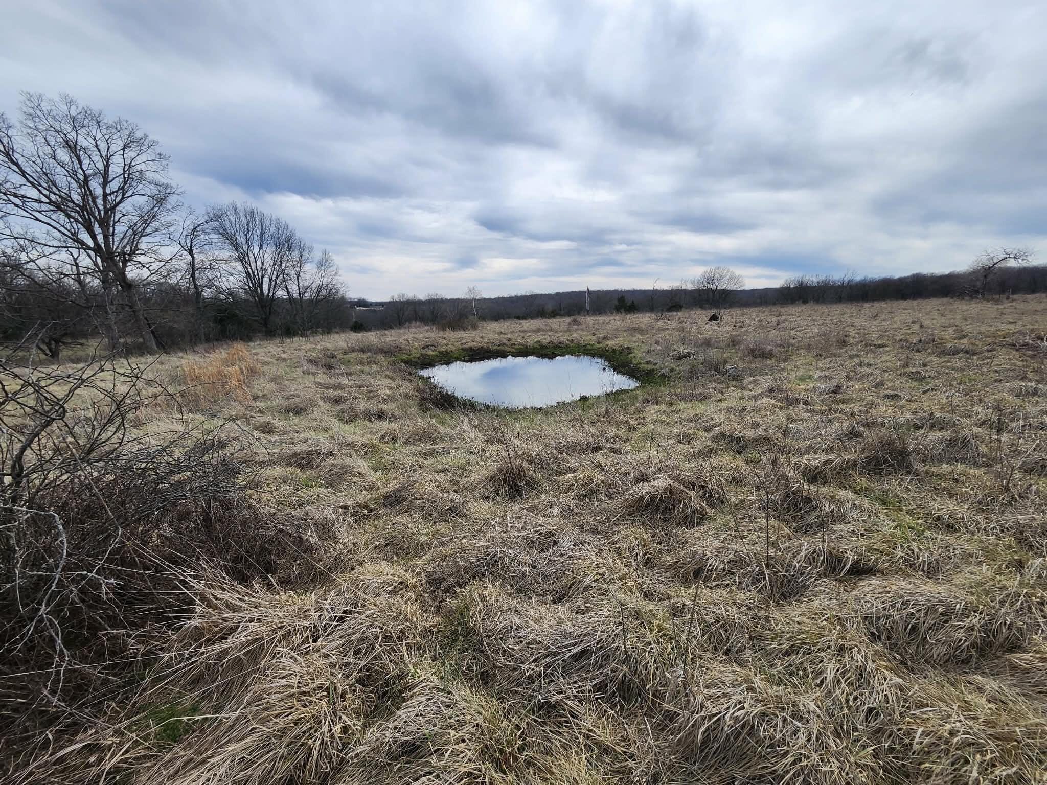 Photo 6 - Farm for sale – 000 N Highway E   Hartville, MO