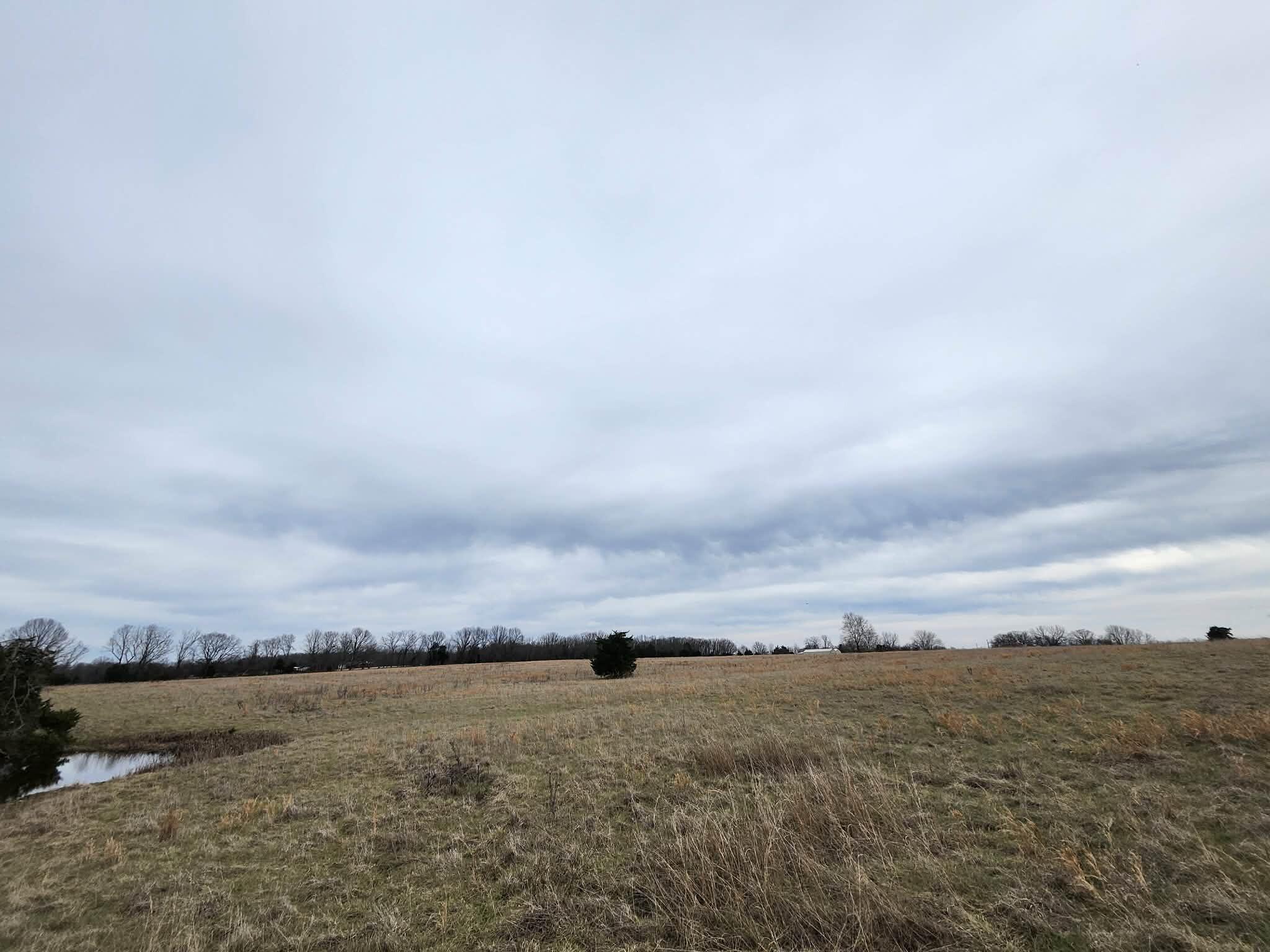 Photo 19 - Farm for sale – 000 N Highway E   Hartville, MO