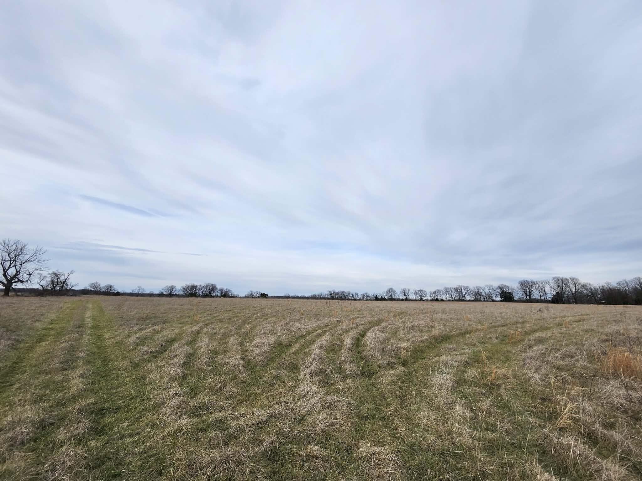 Photo 27 - Farm for sale – 000 N Highway E   Hartville, MO