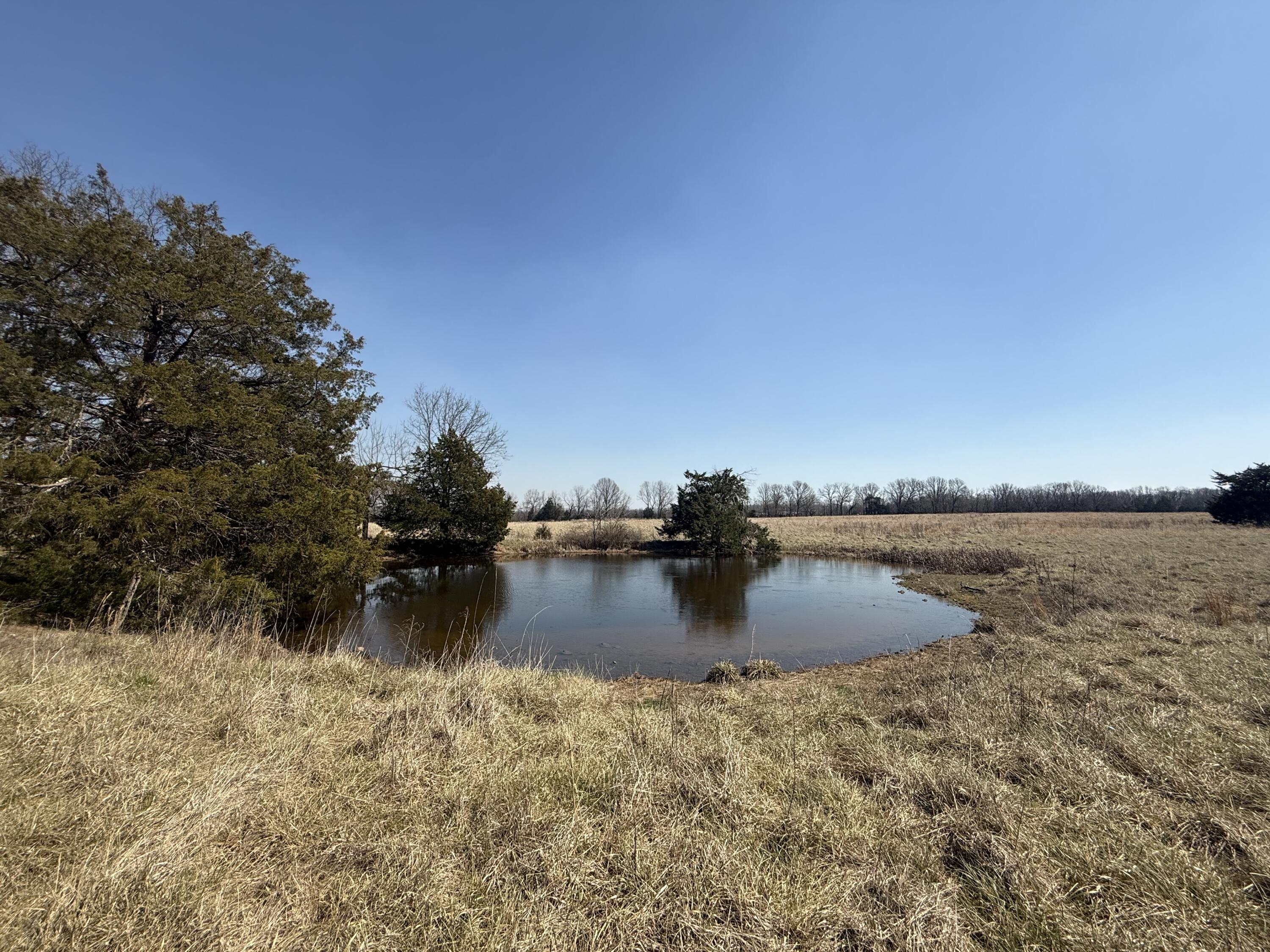 Photo 4 - Farm for sale – 000 N Highway E   Hartville, MO