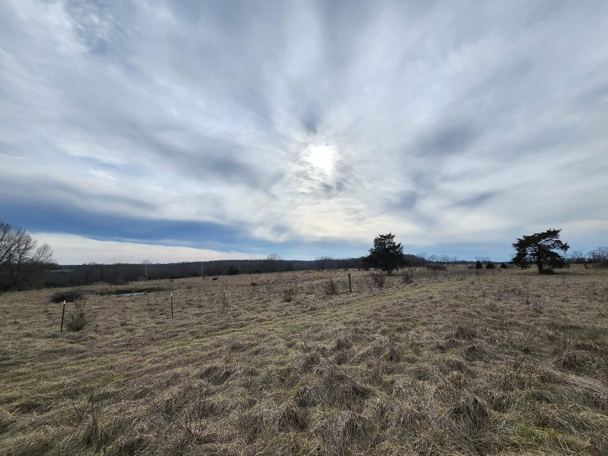 Photo 25 - Farm for sale – 000 N Highway E   Hartville, MO