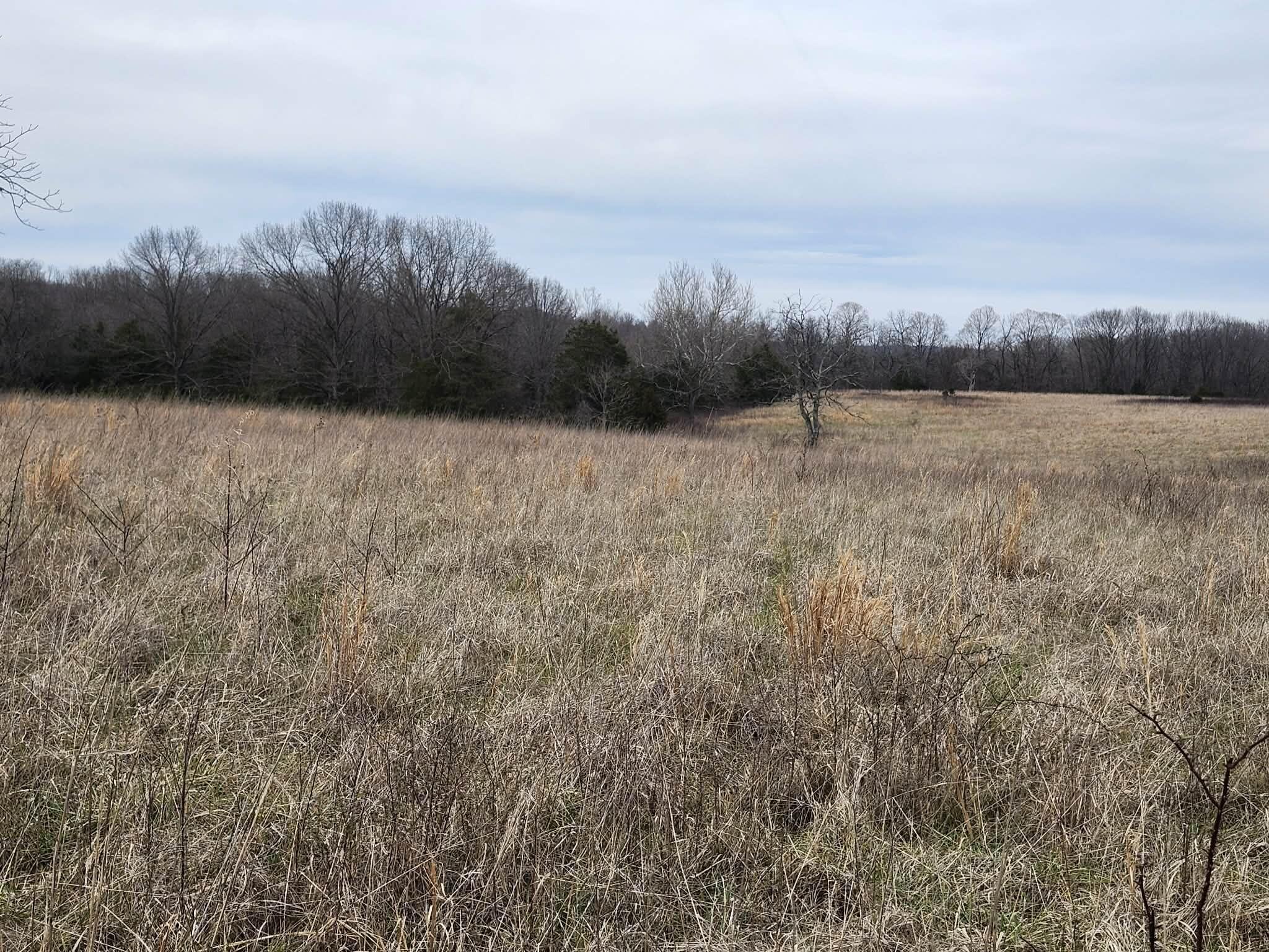 Photo 17 - Farm for sale – 000 N Highway E   Hartville, MO