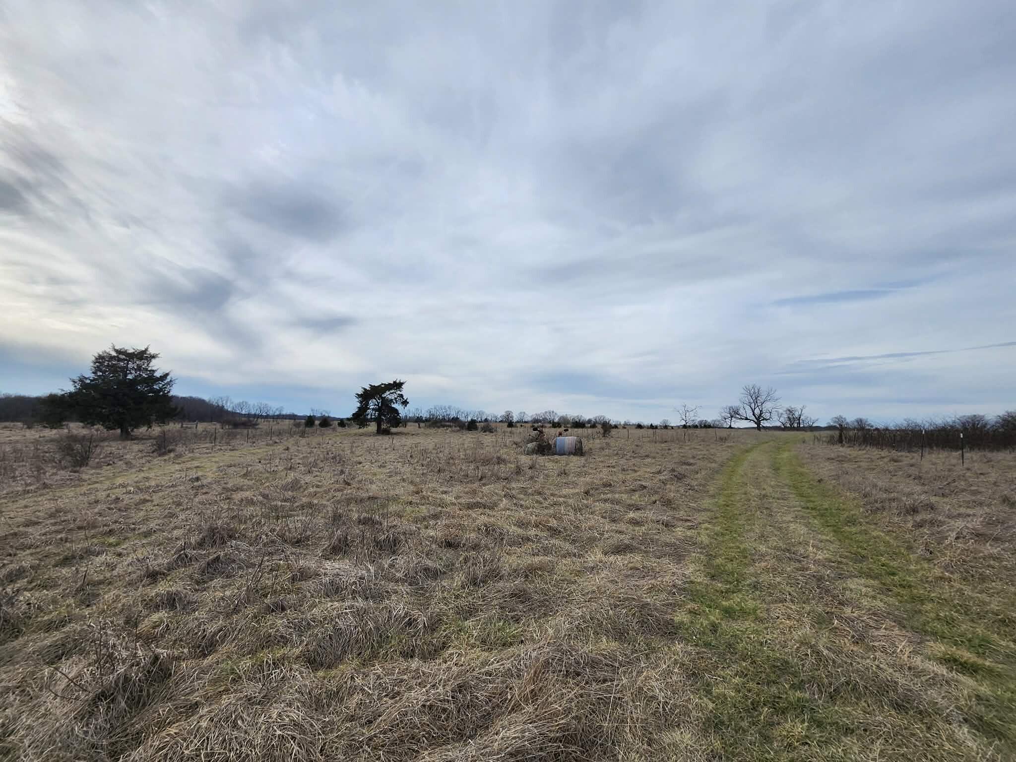 Photo 24 - Farm for sale – 000 N Highway E   Hartville, MO