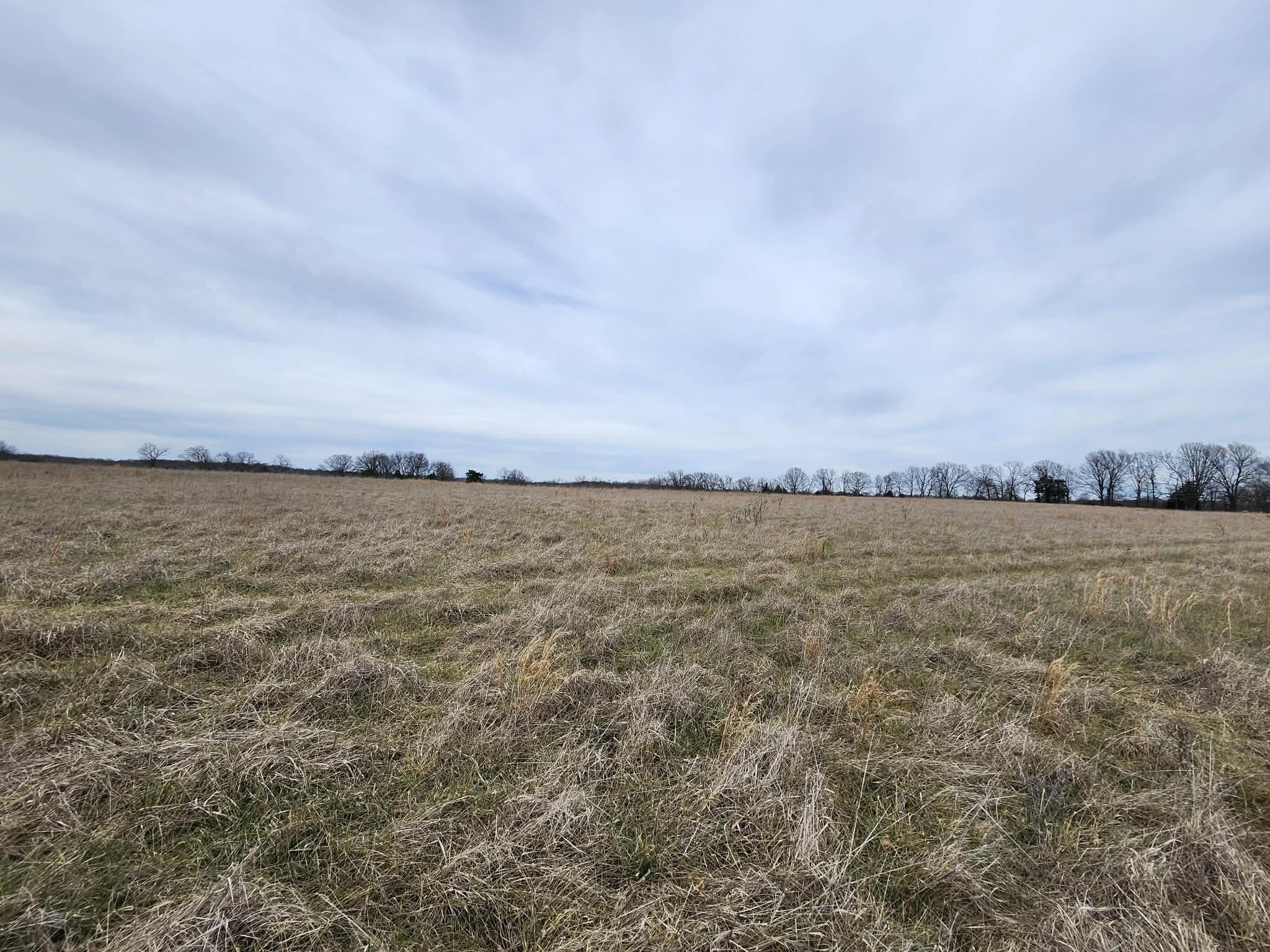 Photo 7 - Farm for sale – 000 N Highway E   Hartville, MO