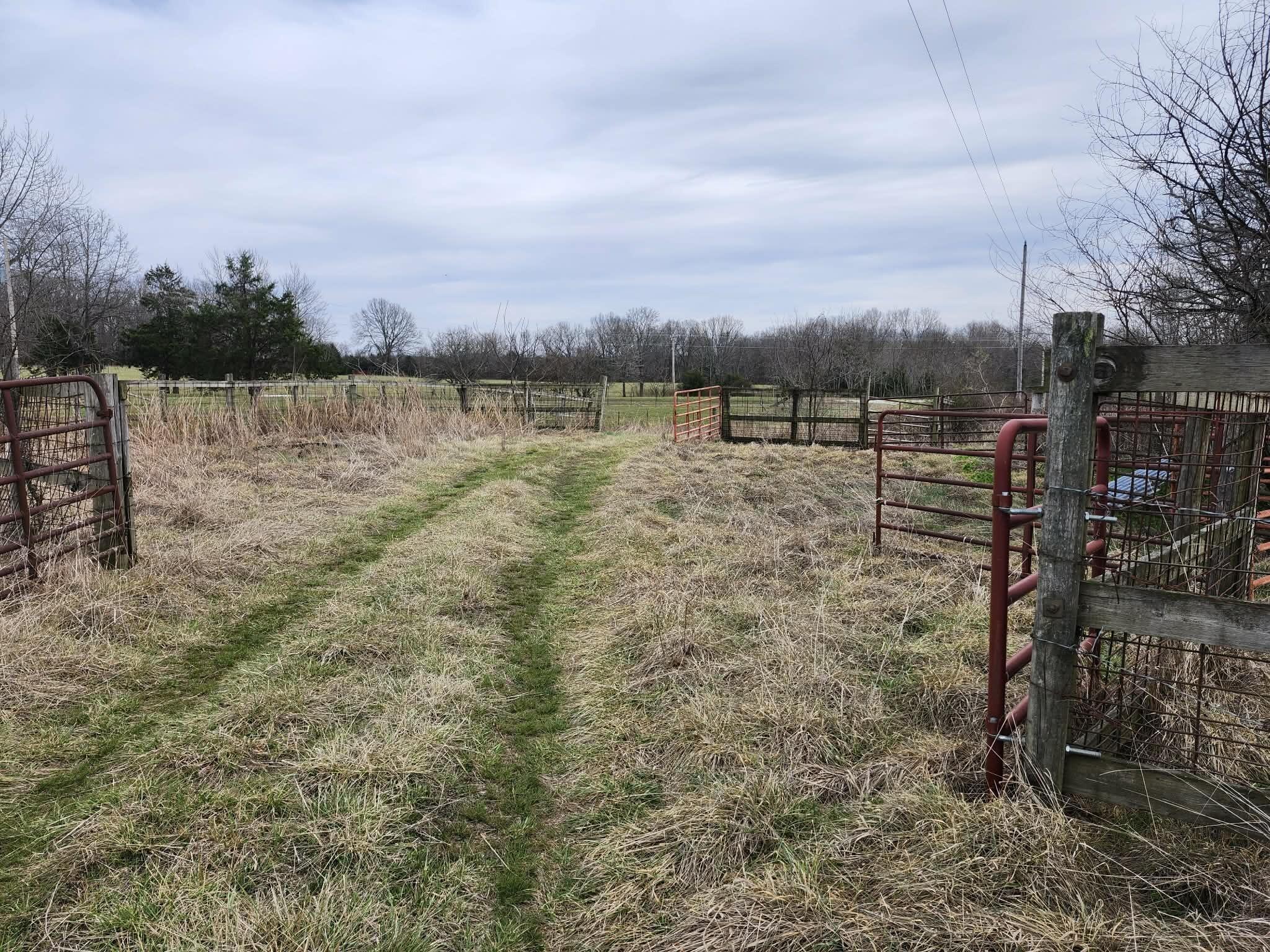 Photo 2 - Farm for sale – 000 N Highway E   Hartville, MO