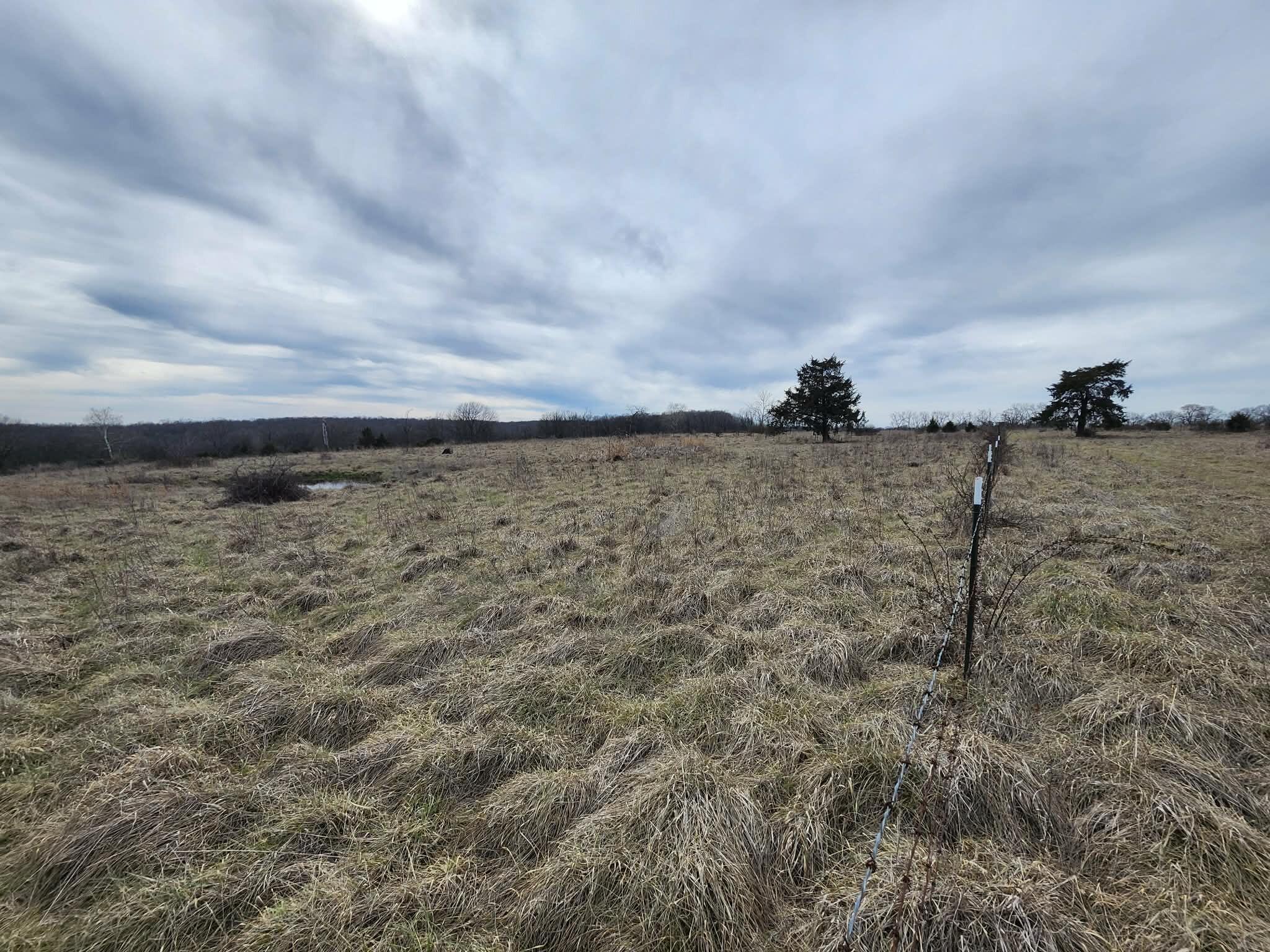Photo 5 - Farm for sale – 000 N Highway E   Hartville, MO