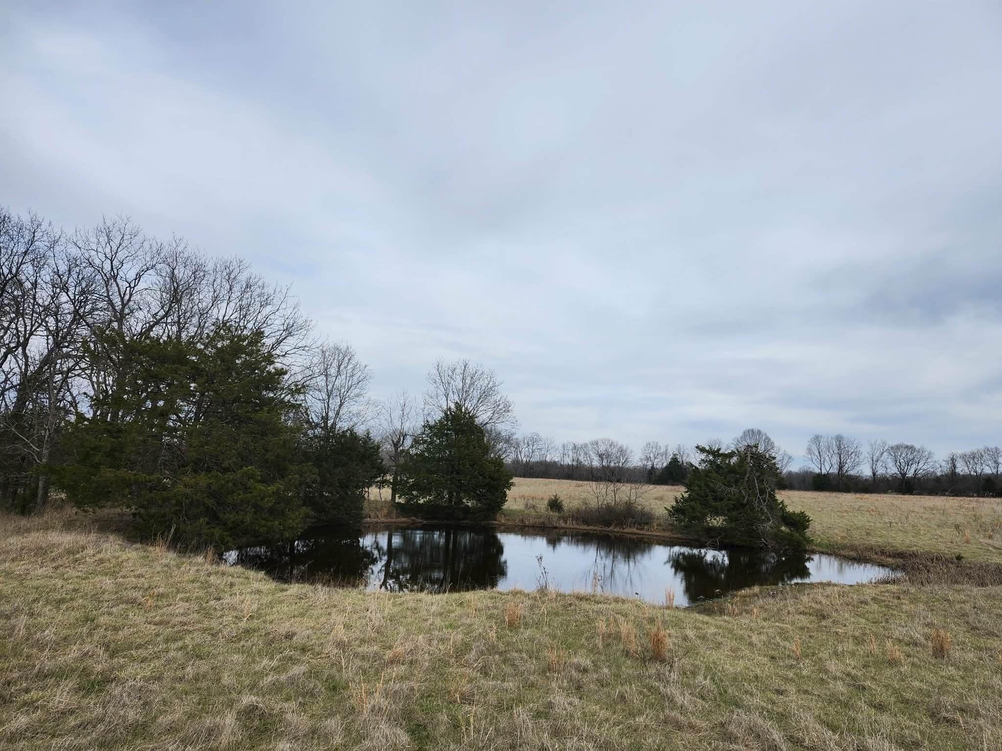 Photo 20 - Farm for sale – 000 N Highway E   Hartville, MO