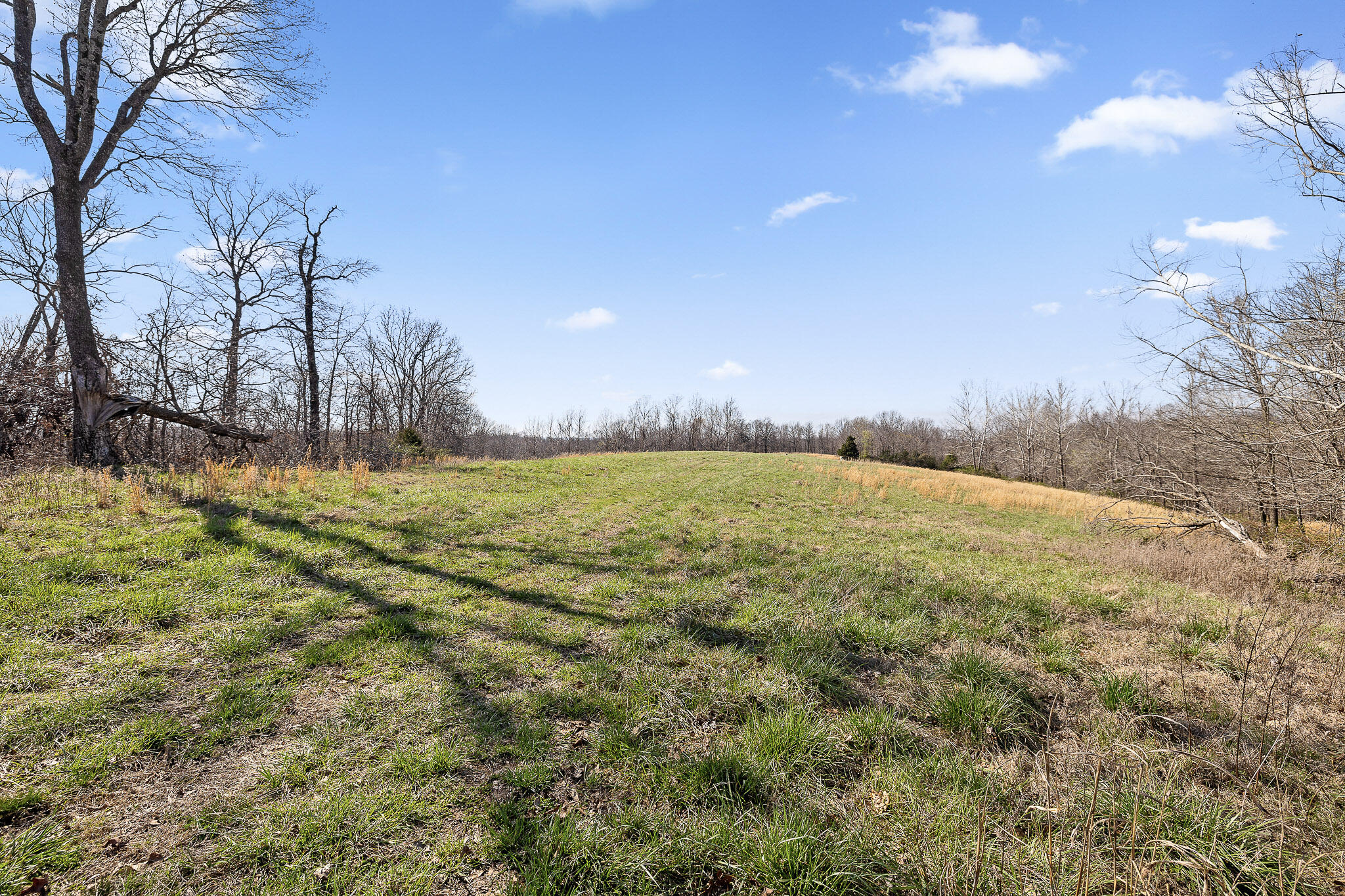 Photo 65 - Residential for sale – 2259  Racetrack Hollow Road  Anderson, MO