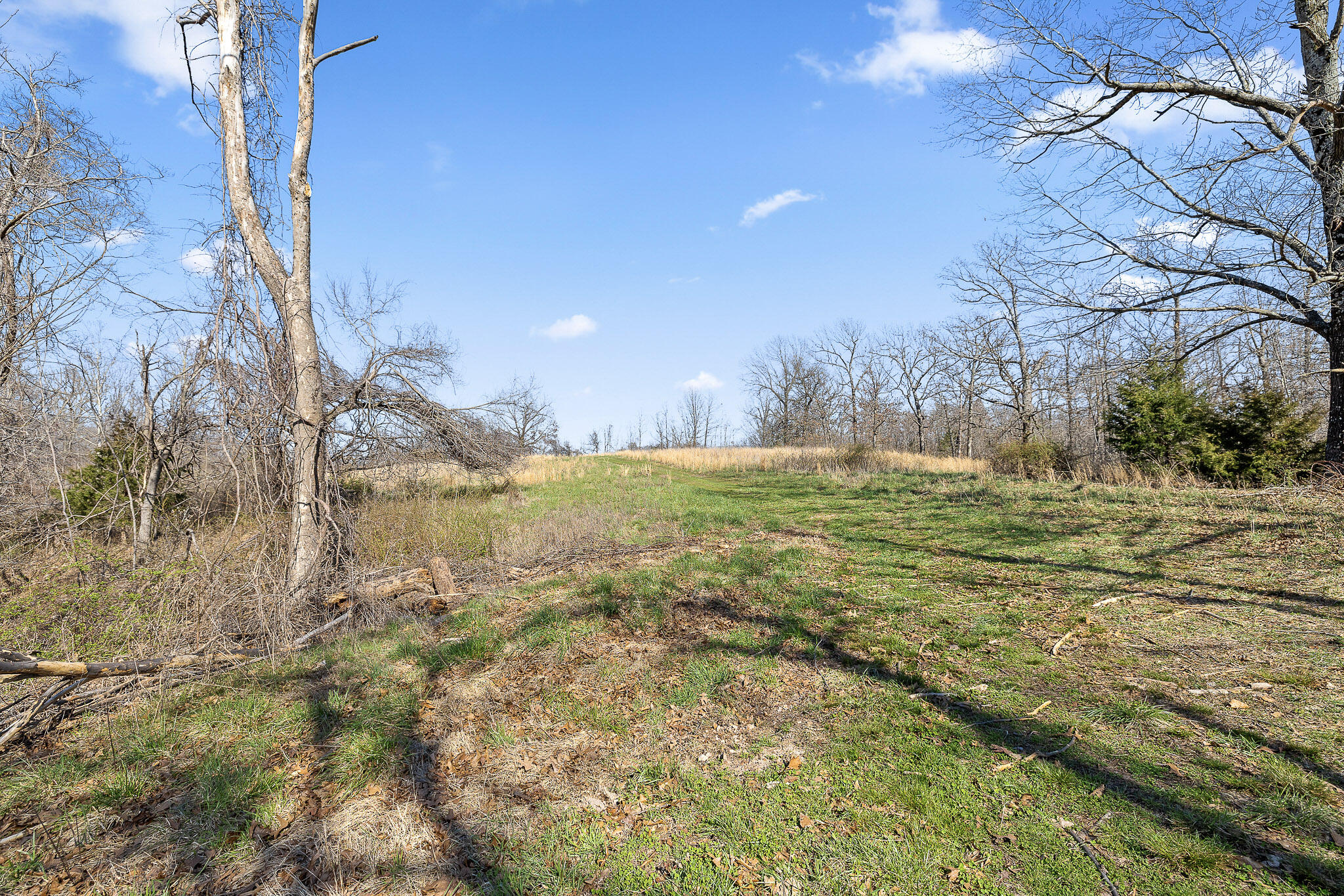 Photo 71 - Residential for sale – 2259  Racetrack Hollow Road  Anderson, MO