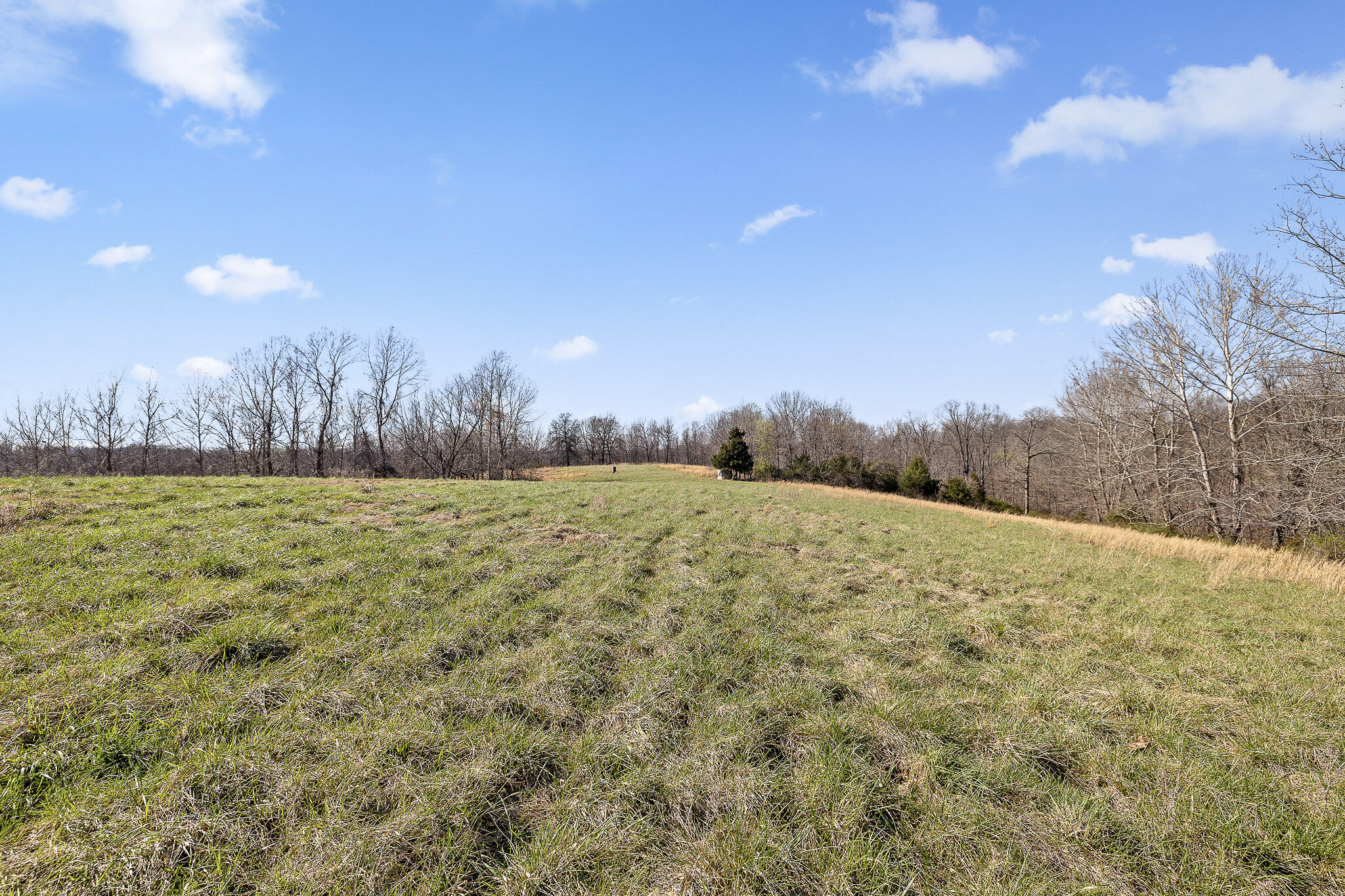 Photo 63 - Residential for sale – 2259  Racetrack Hollow Road  Anderson, MO