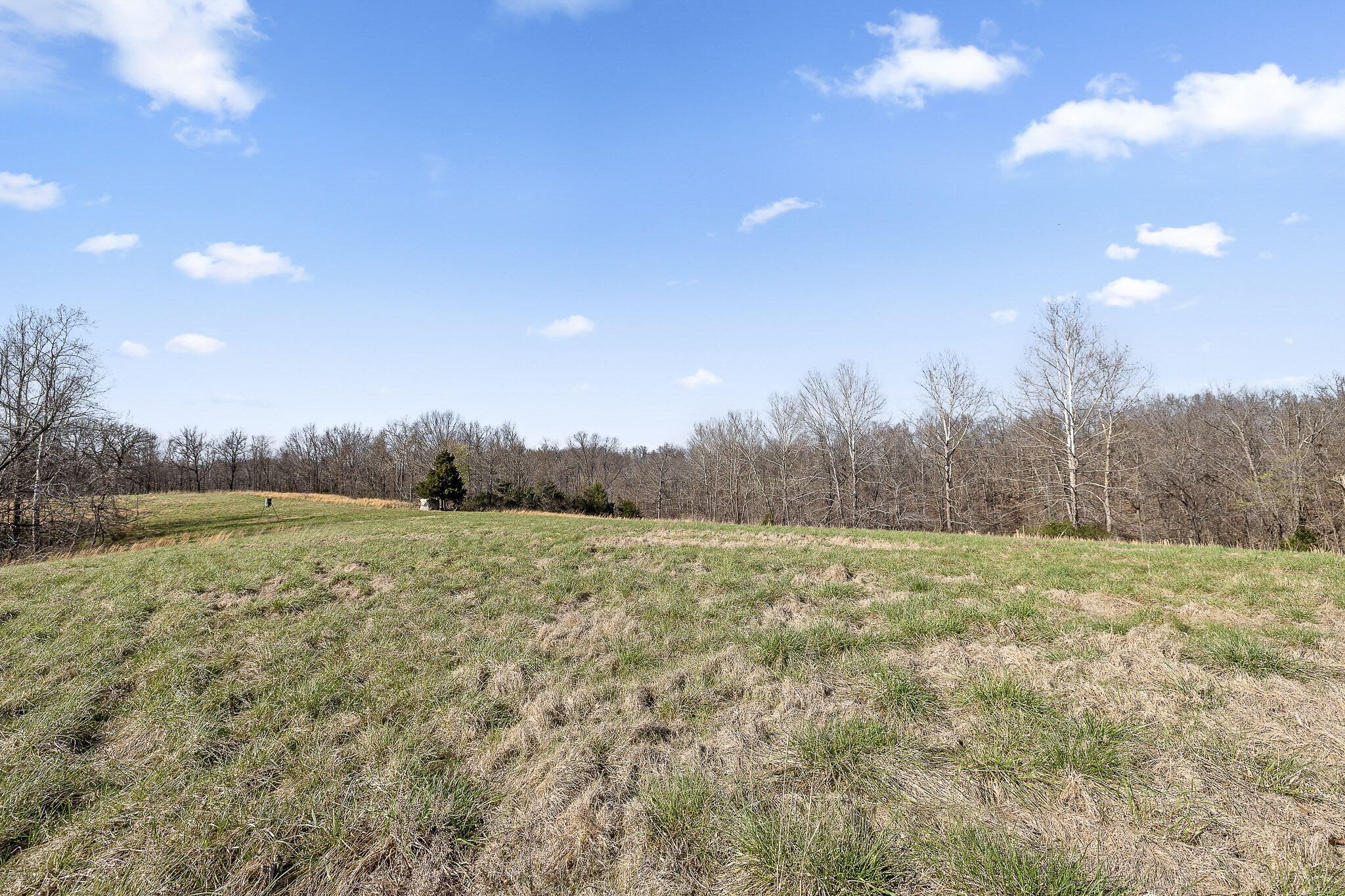 Photo 70 - Residential for sale – 2259  Racetrack Hollow Road  Anderson, MO
