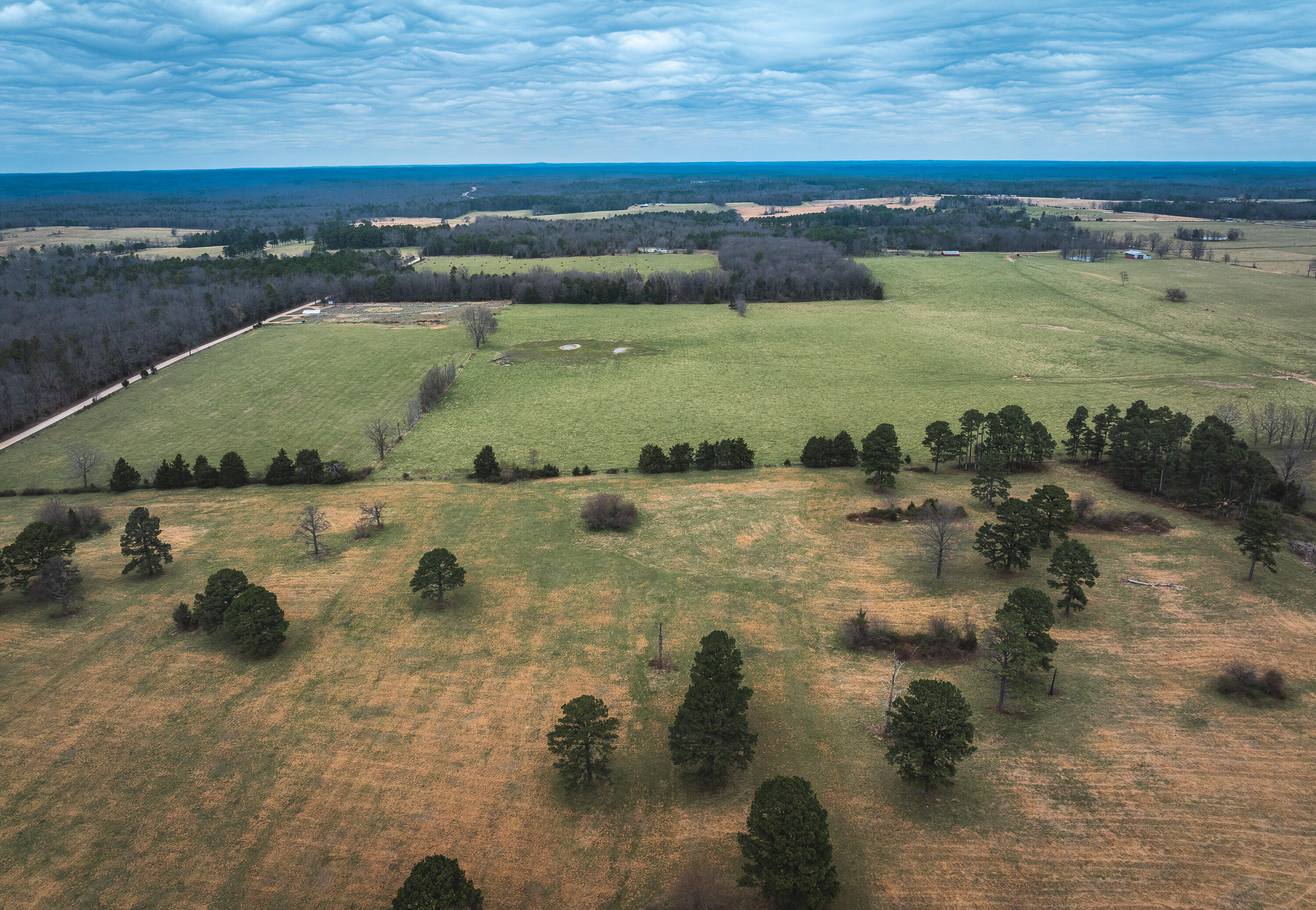 Photo 8 - Land for sale – 000  Dewitt Drive  Hartshorn, MO