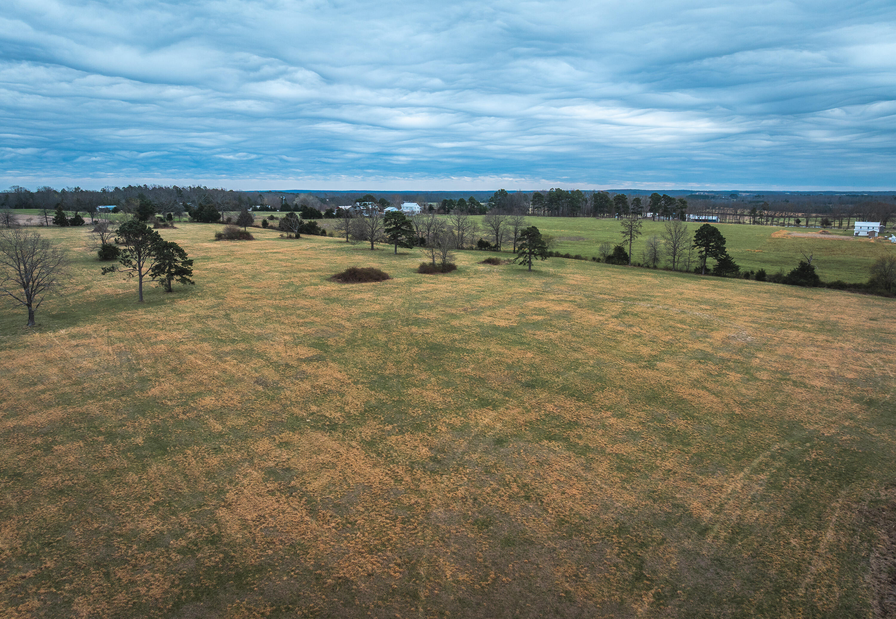 Photo 4 - Land for sale – 000  Dewitt Drive  Hartshorn, MO