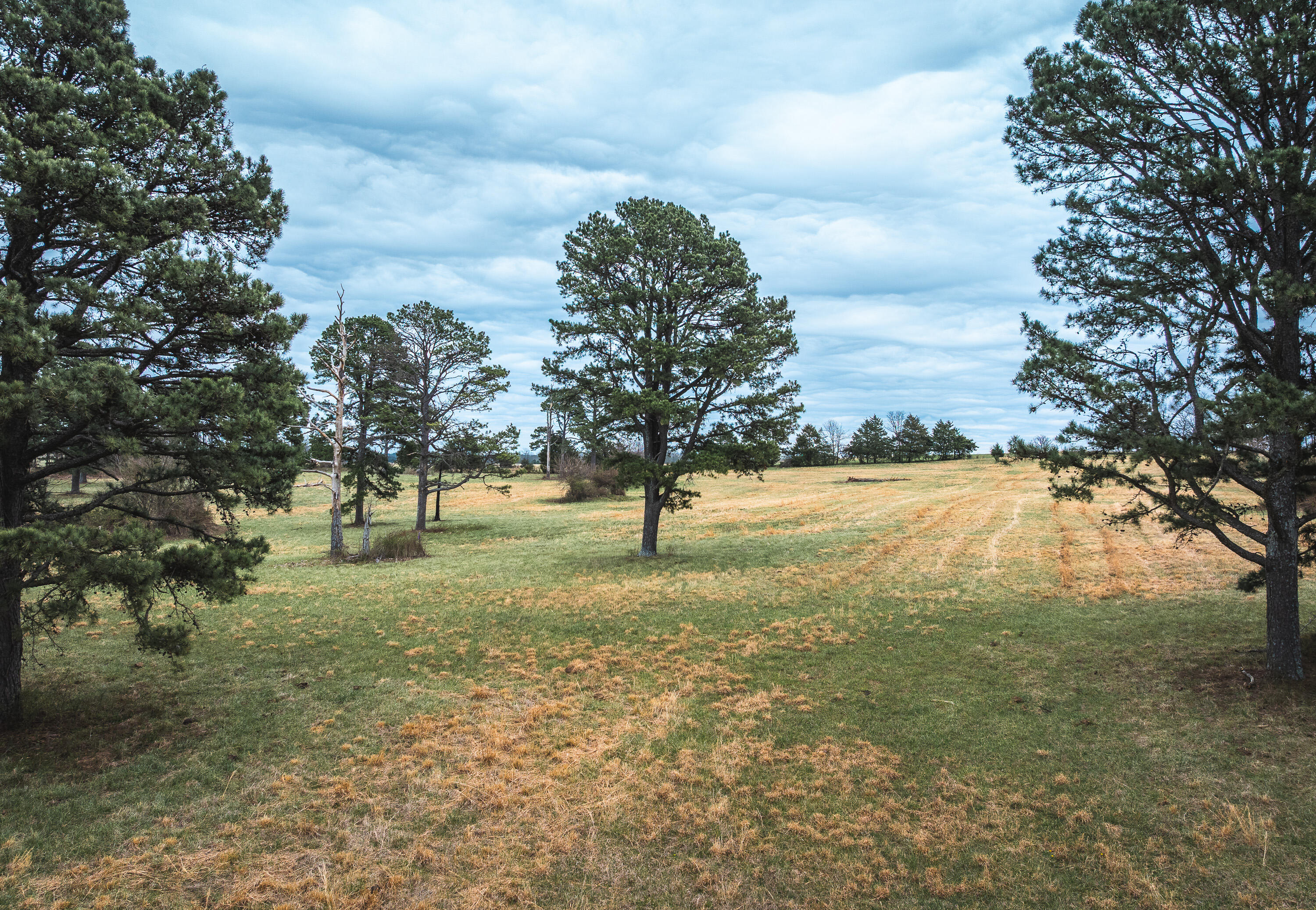Photo 12 - Land for sale – 000  Dewitt Drive  Hartshorn, MO
