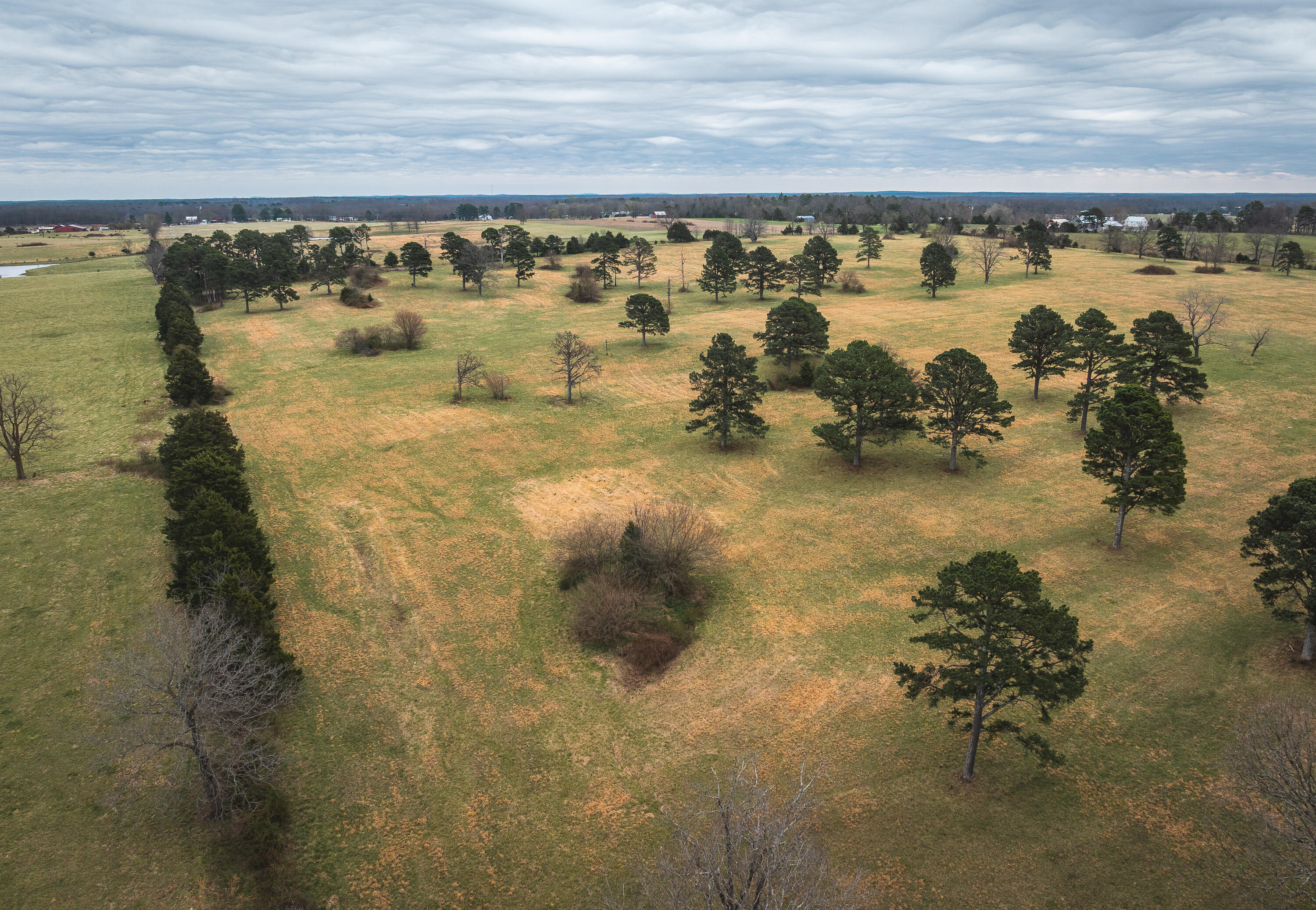 Photo 17 - Land for sale – 000  Dewitt Drive  Hartshorn, MO
