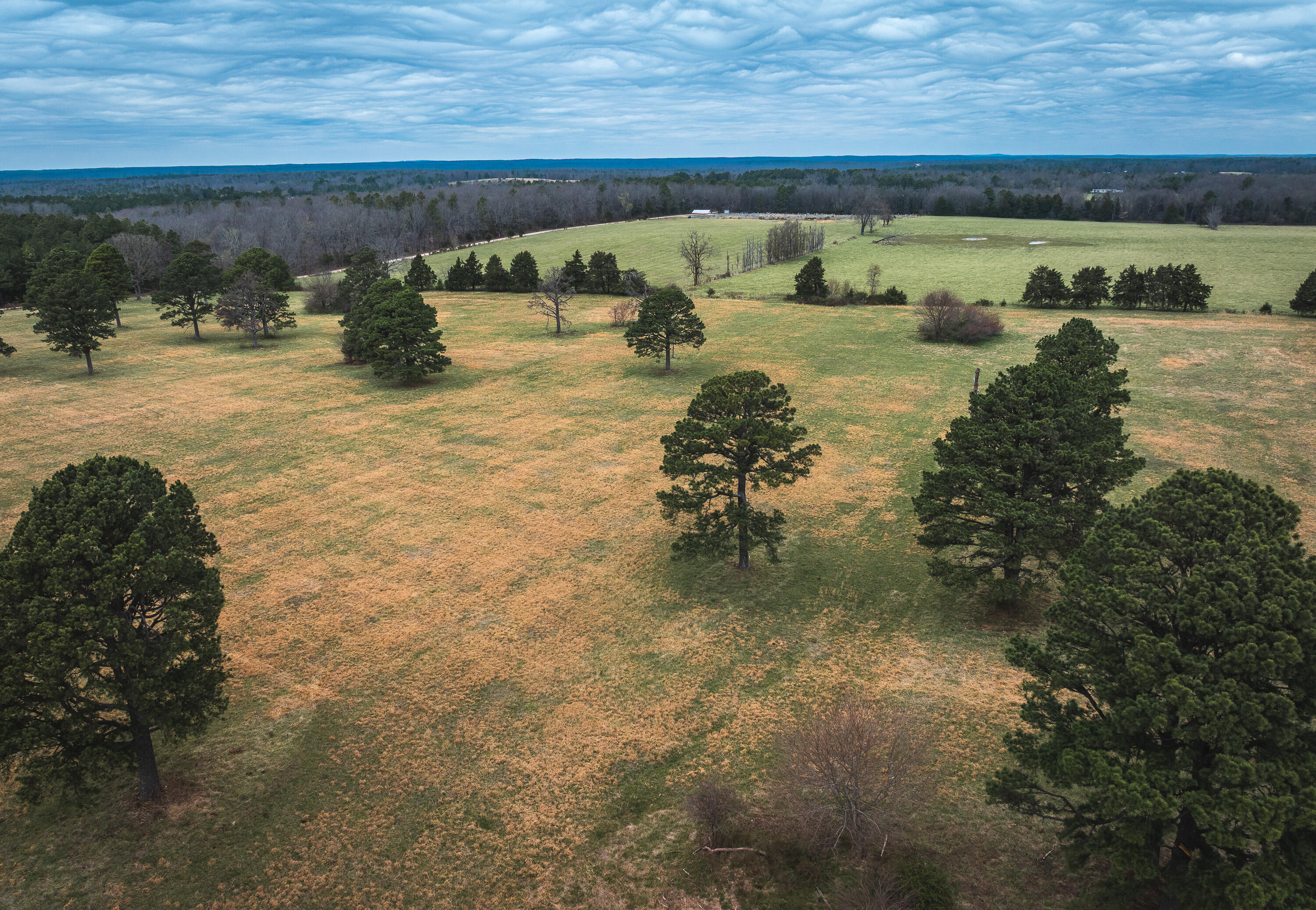 Photo 11 - Land for sale – 000  Dewitt Drive  Hartshorn, MO