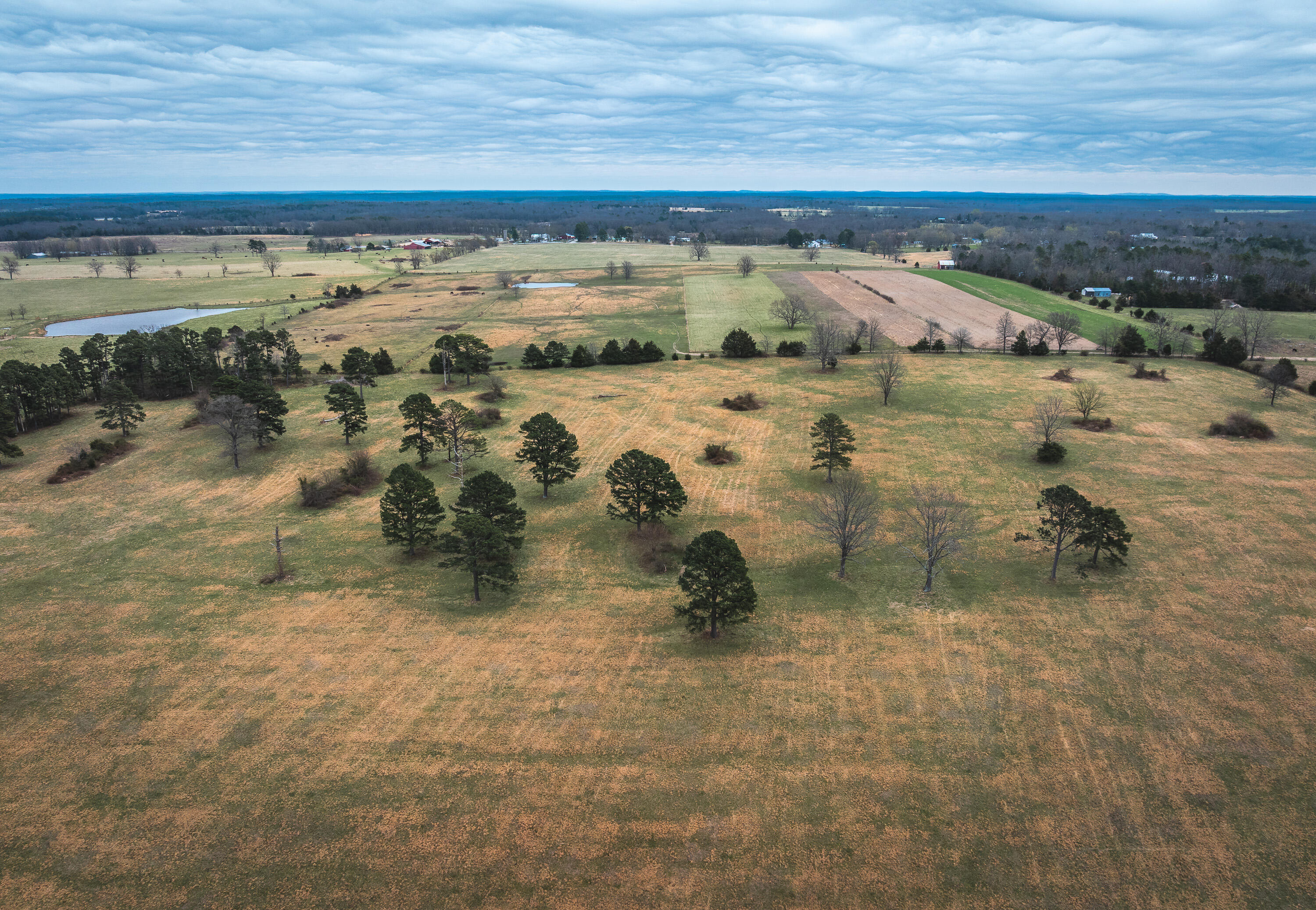 Photo 6 - Land for sale – 000  Dewitt Drive  Hartshorn, MO