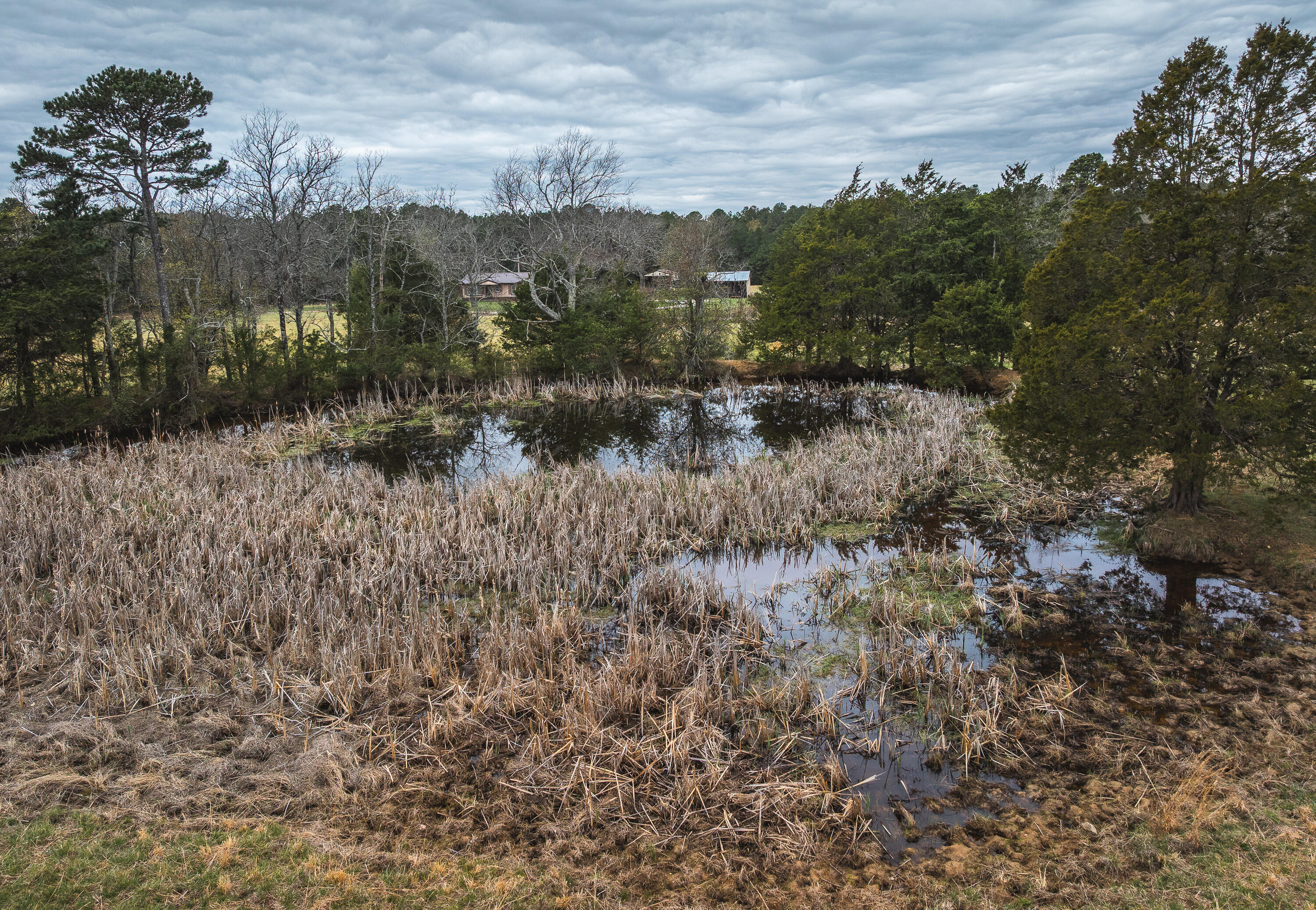 Photo 15 - Land for sale – 000  Dewitt Drive  Hartshorn, MO