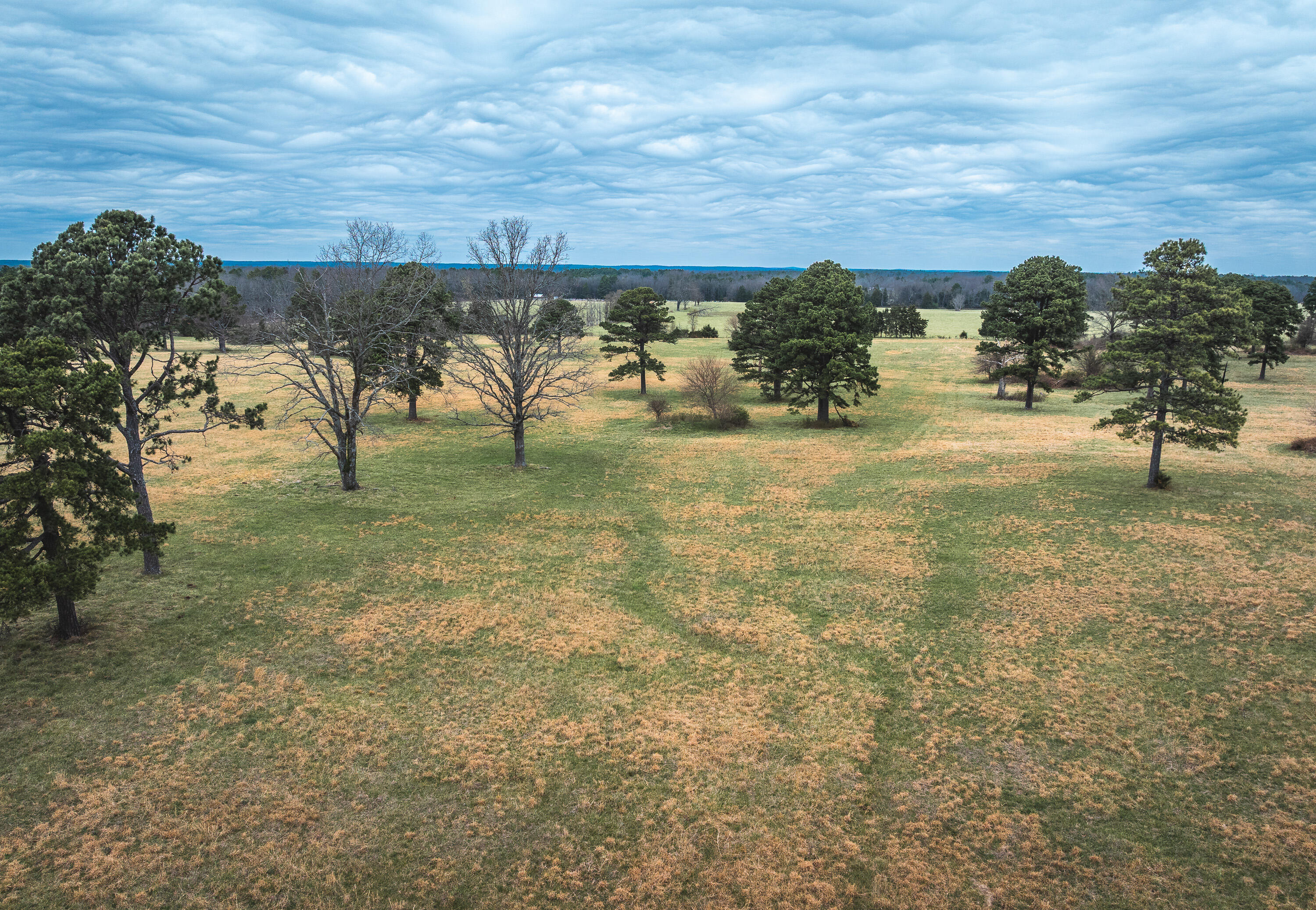 Photo 10 - Land for sale – 000  Dewitt Drive  Hartshorn, MO