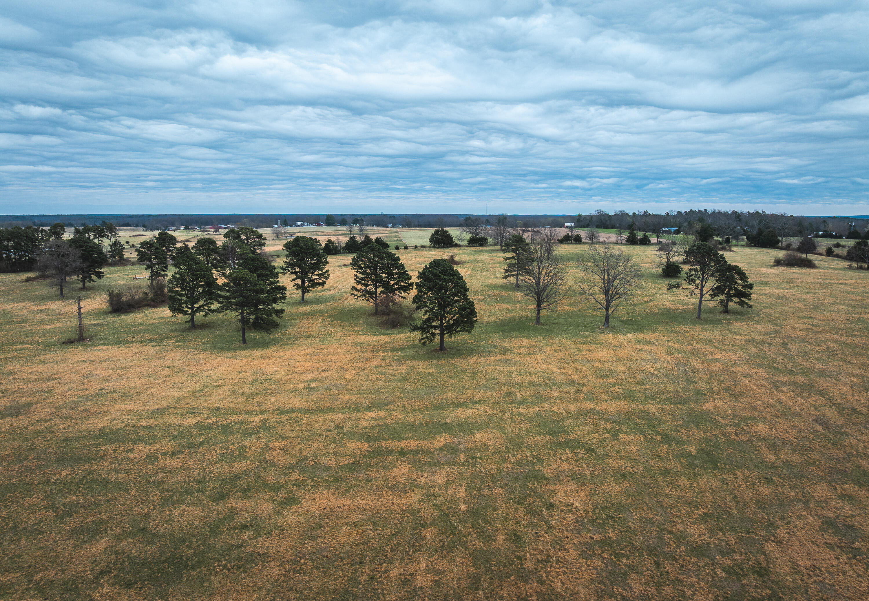 Land for sale – 000  Dewitt Drive  Hartshorn, MO