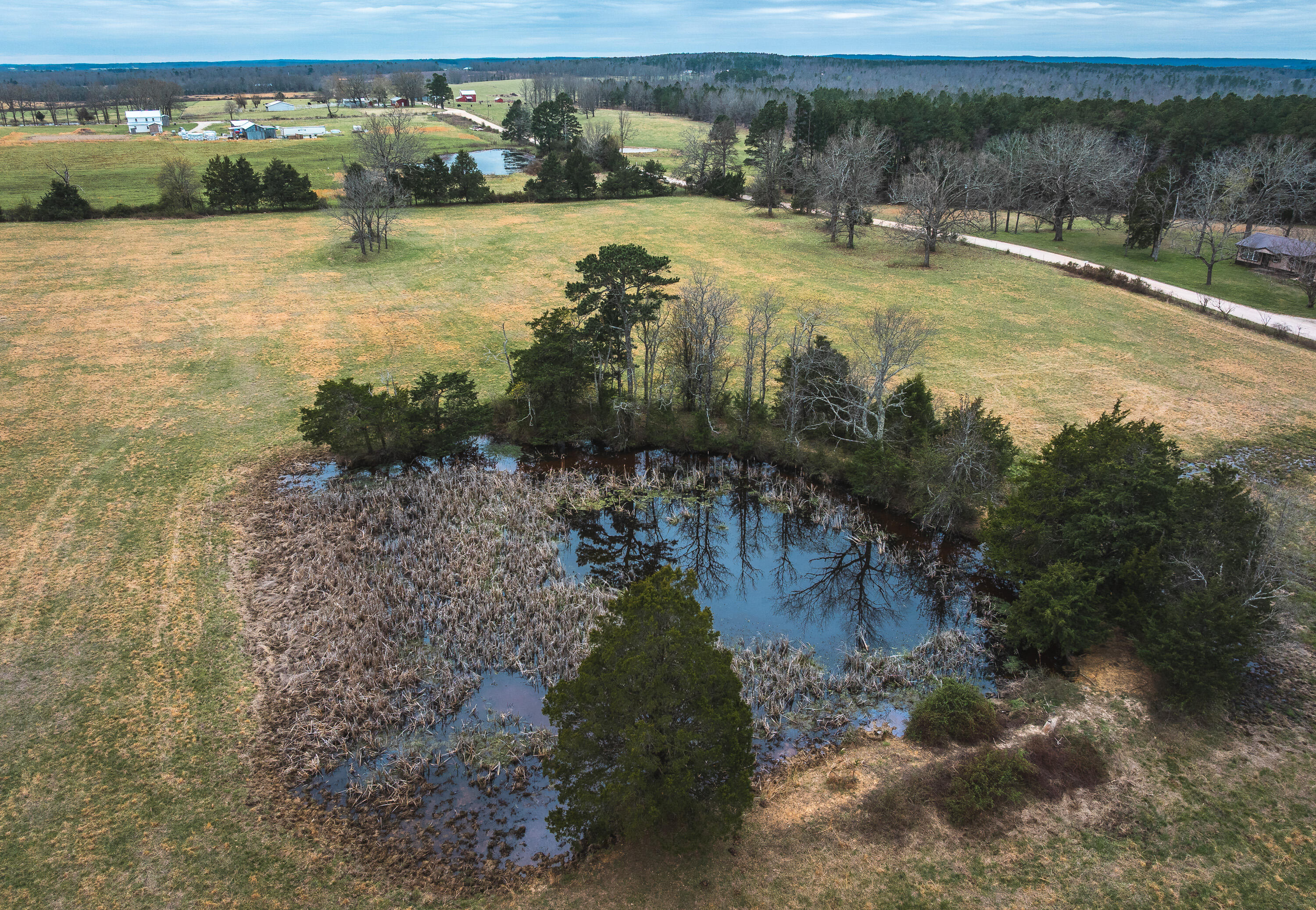 Photo 5 - Land for sale – 000  Dewitt Drive  Hartshorn, MO