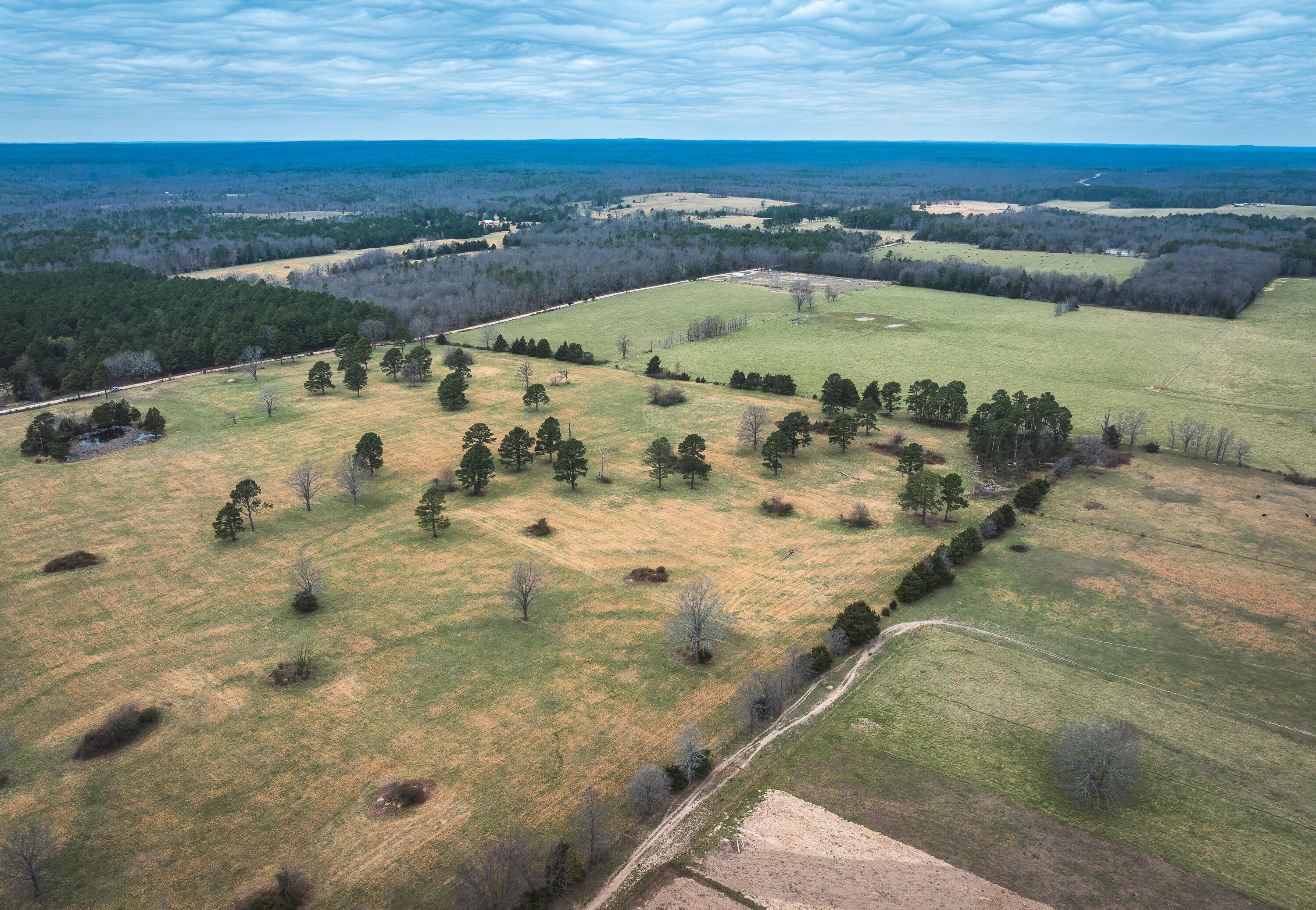 Photo 9 - Land for sale – 000  Dewitt Drive  Hartshorn, MO