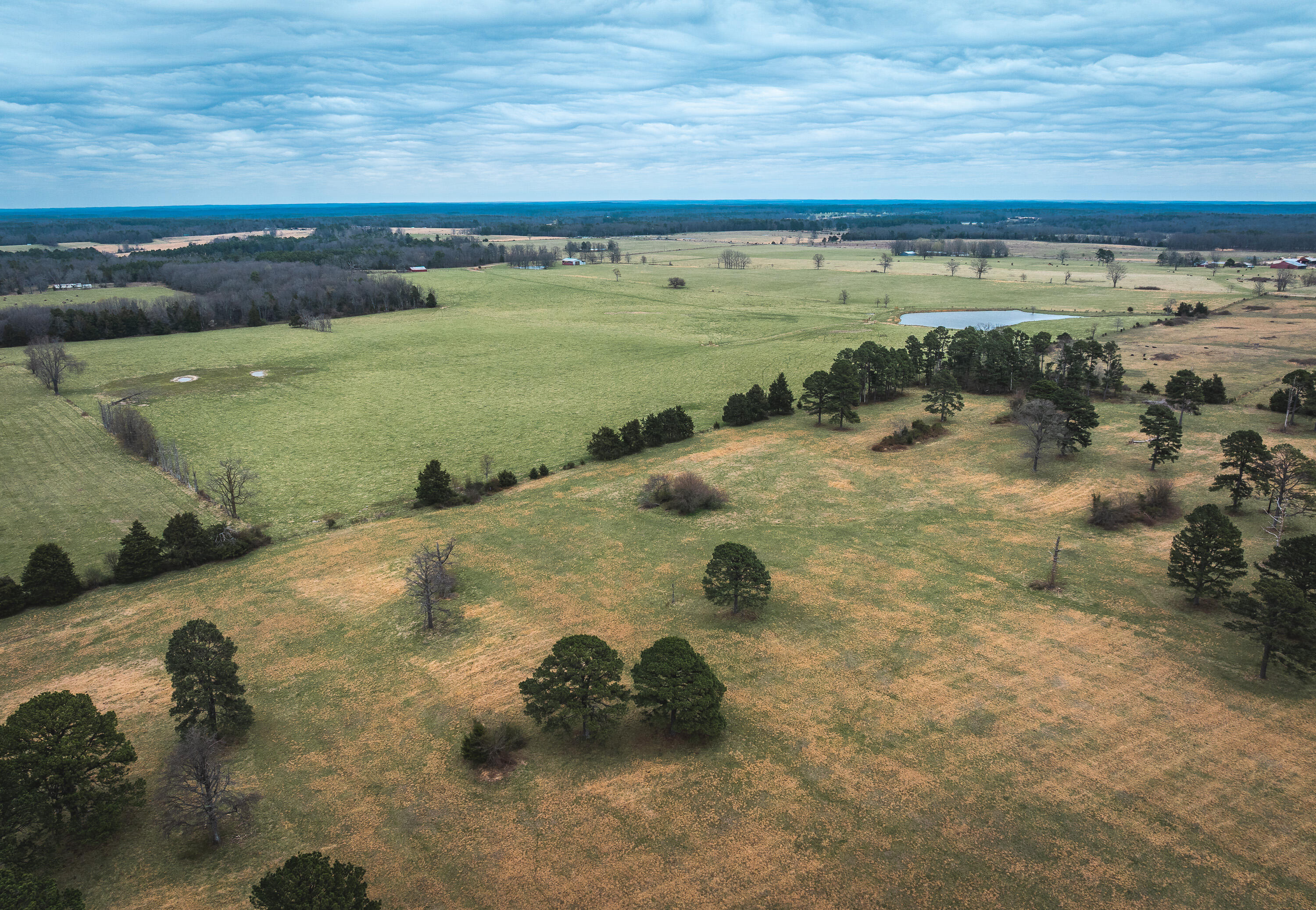 Photo 7 - Land for sale – 000  Dewitt Drive  Hartshorn, MO