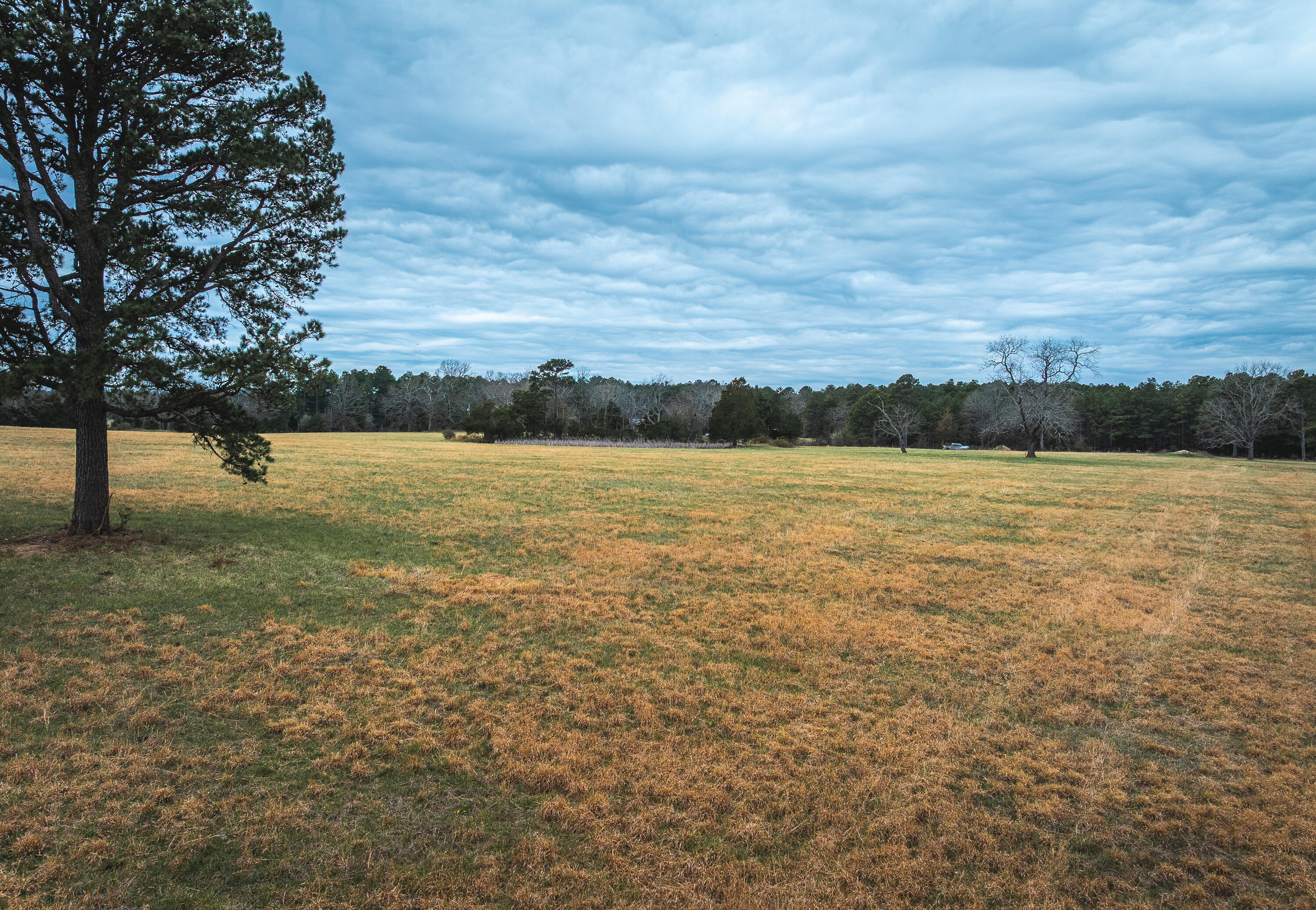 Photo 13 - Land for sale – 000  Dewitt Drive  Hartshorn, MO
