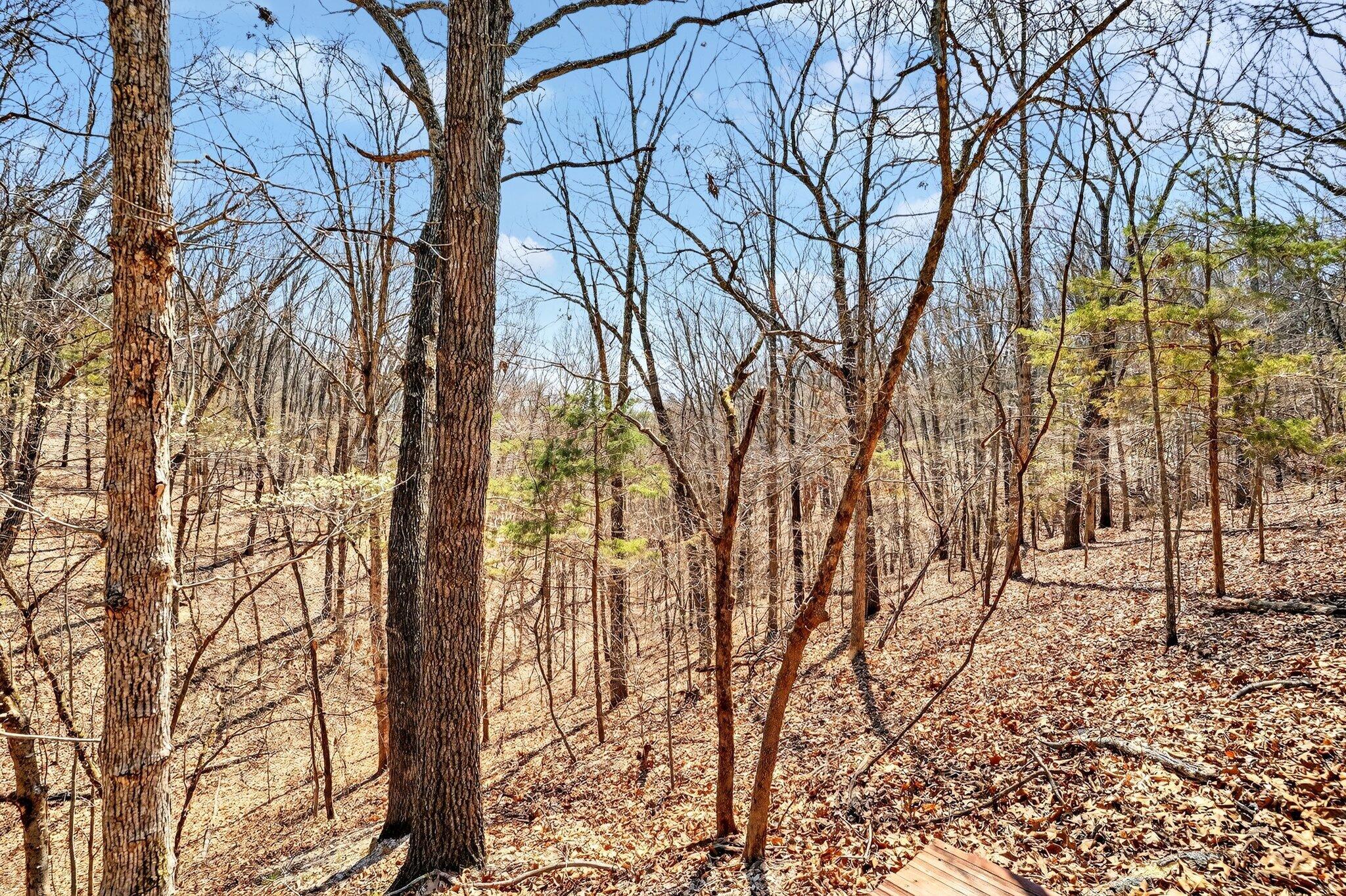 Photo 51 - Residential for sale – 1496  State Highway Y   Galena, MO