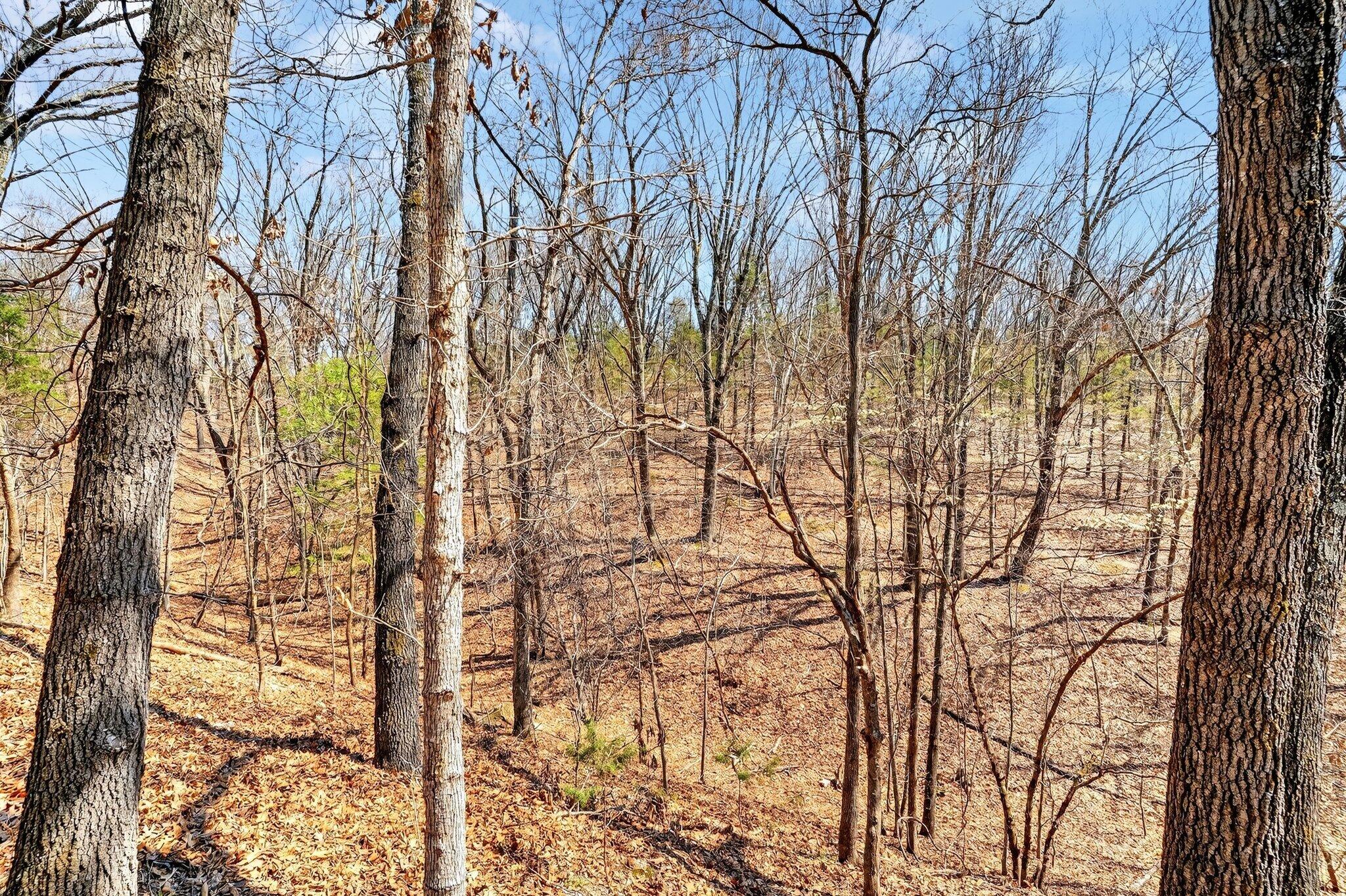 Photo 49 - Residential for sale – 1496  State Highway Y   Galena, MO