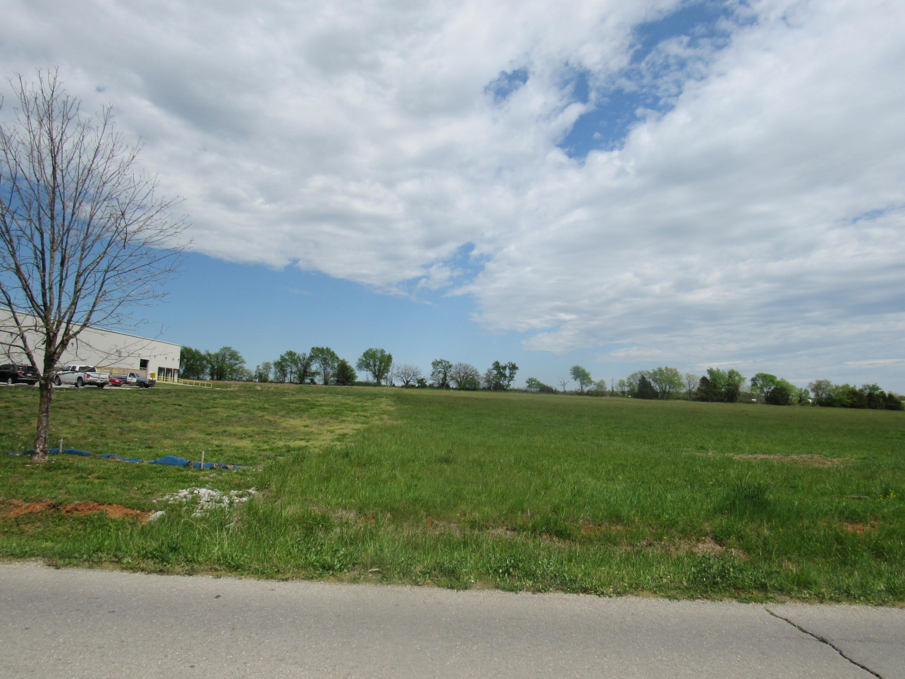 Photo 7 - Commercial Sale for sale – Tract 1-5  George Street   Marshfield, MO