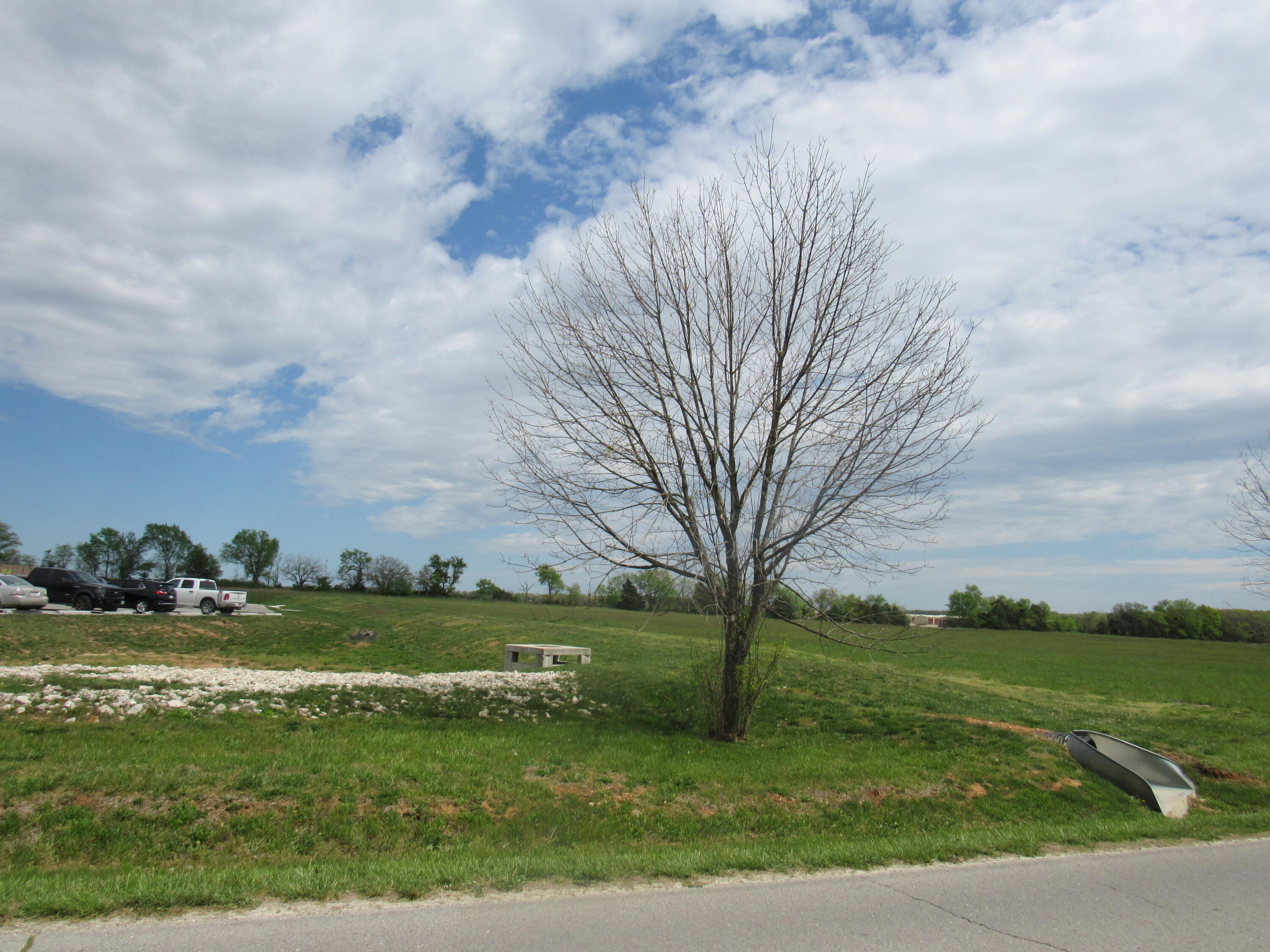 Photo 2 - Commercial Sale for sale – Tract 1-5  George Street   Marshfield, MO