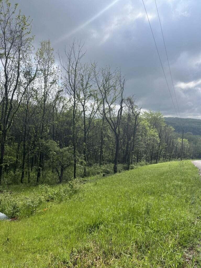 Photo 4 - Land for sale – 169  Panorama (Lot 169)-2.01 Acres- Drive  Cape Fair, MO