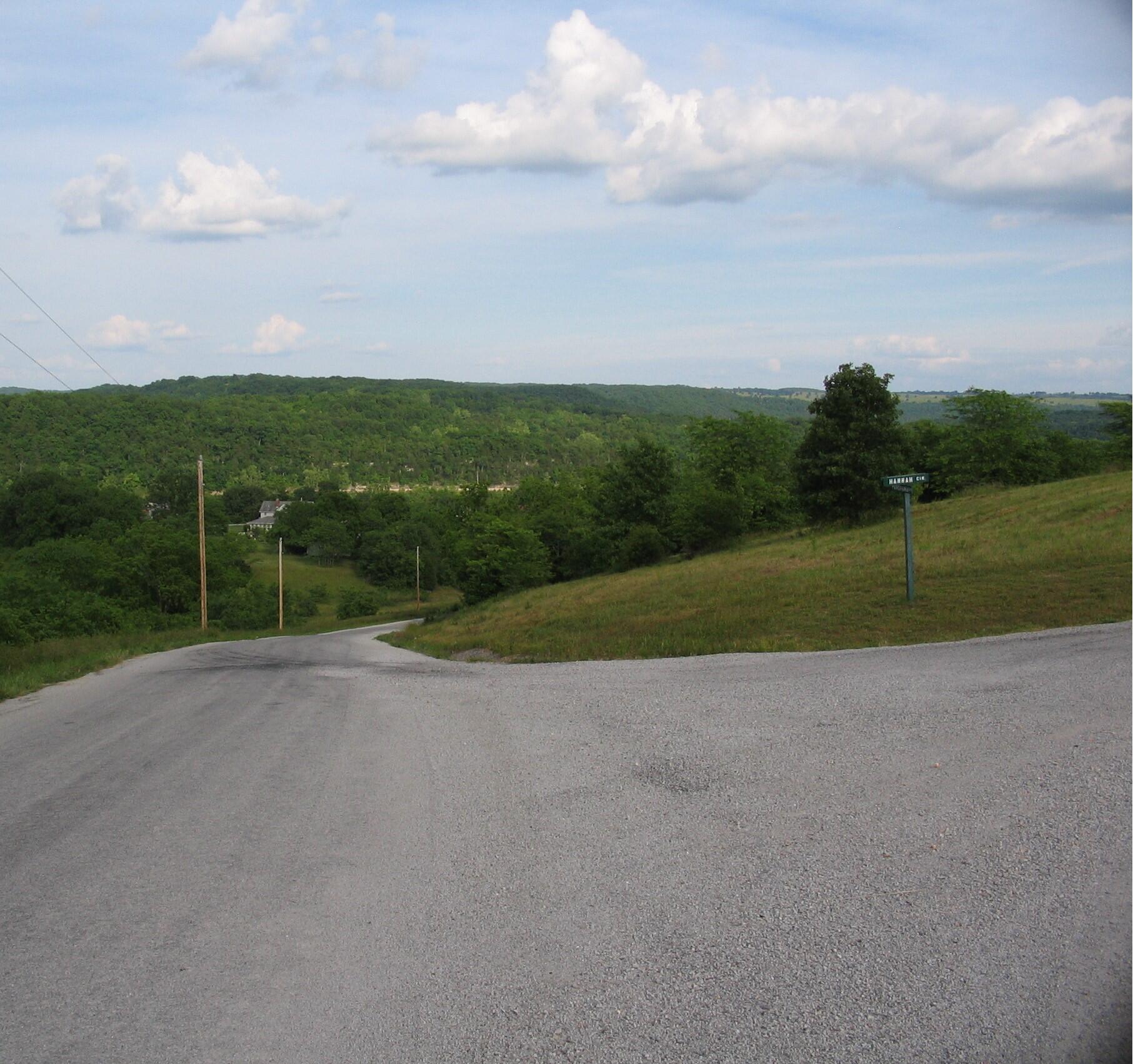Photo 6 - Land for sale – 169  Panorama (Lot 169)-2.01 Acres- Drive  Cape Fair, MO