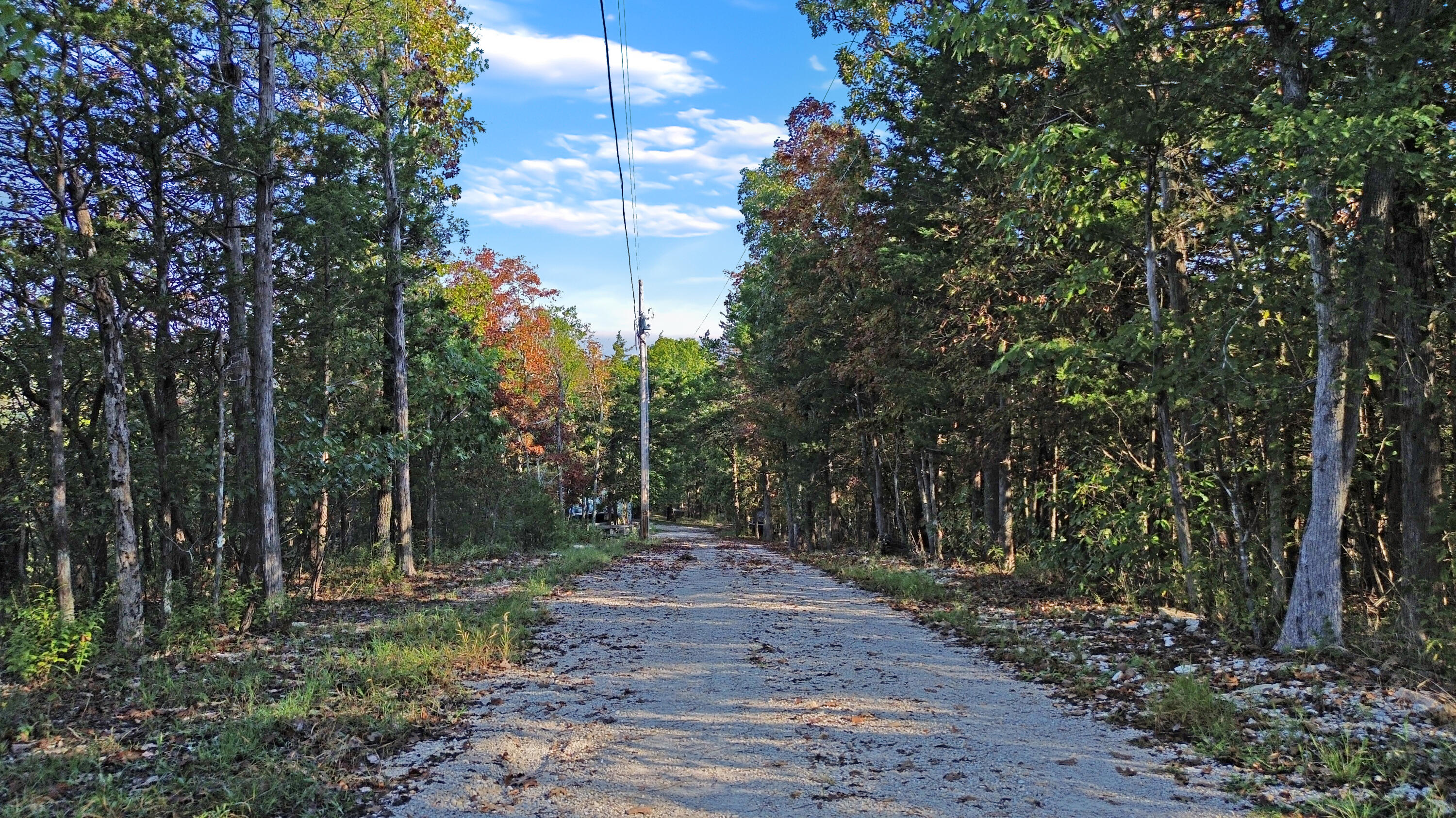 Photo 11 - Land for sale – 000  Delillo   Branson, MO