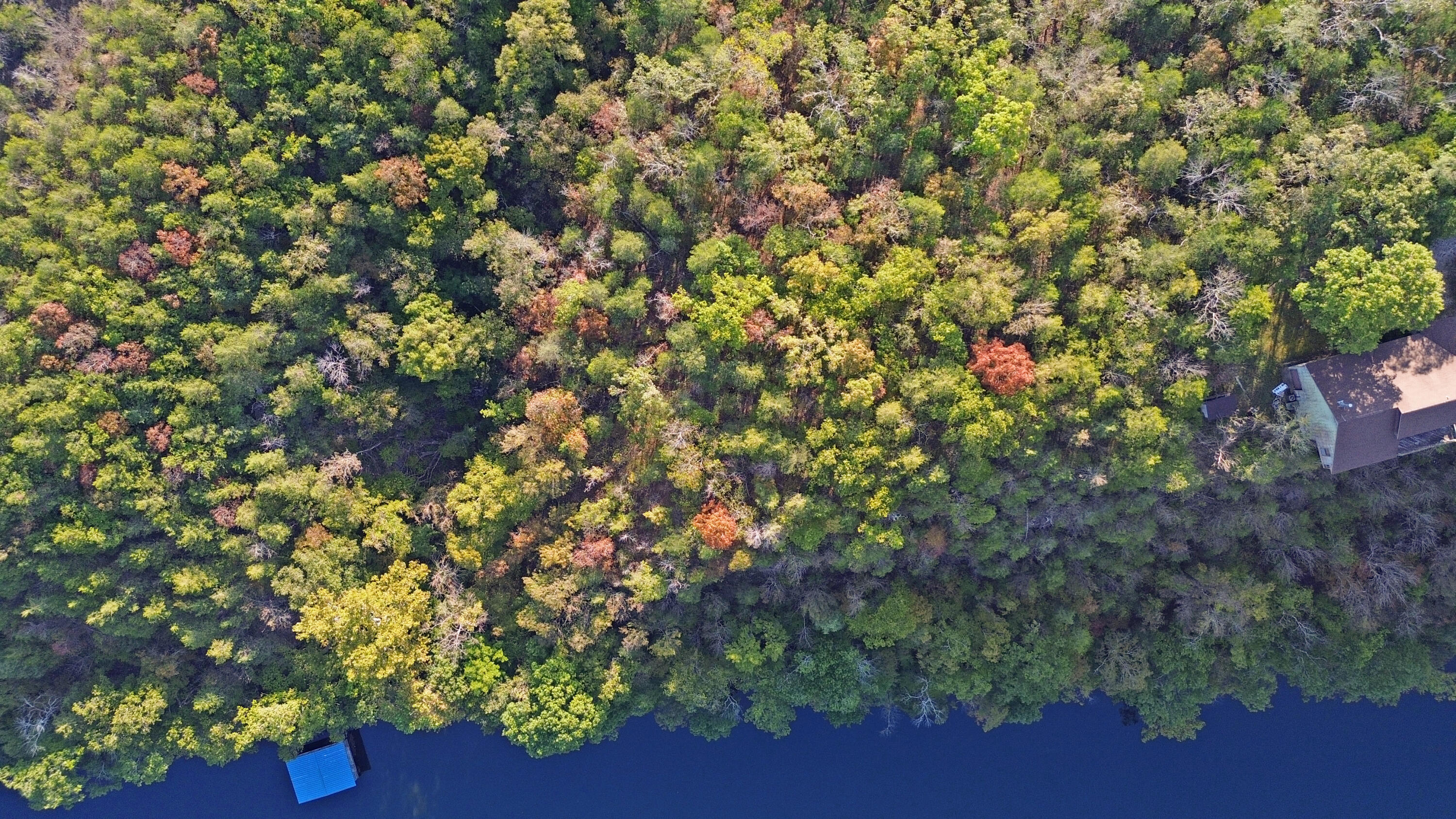 Photo 6 - Land for sale – 000  Delillo   Branson, MO