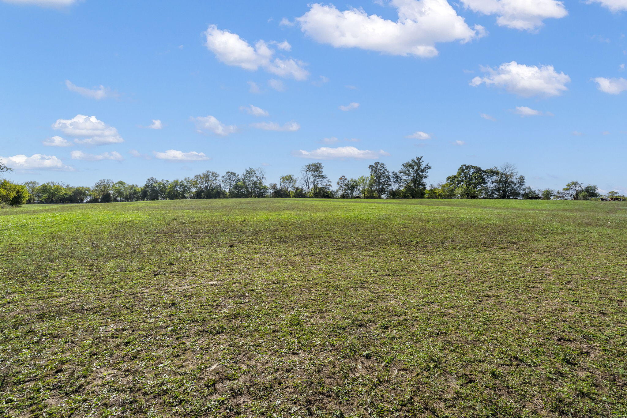 Photo 74 - Farm for sale – 3259 W Farm Rd 60   Springfield, MO