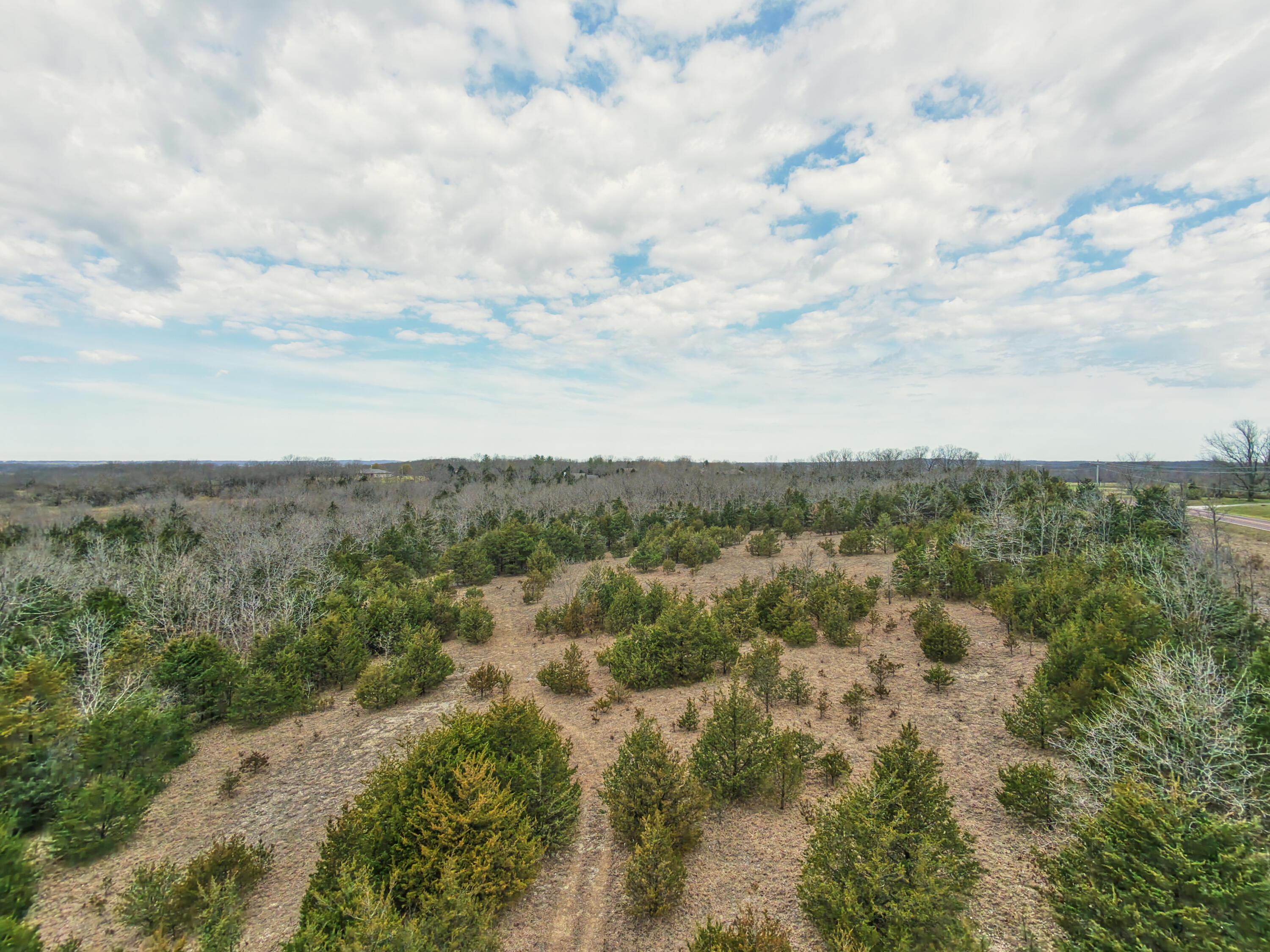 Photo 5 - Land for sale – 11239  Stave Mill Road  Mountain Grove, MO