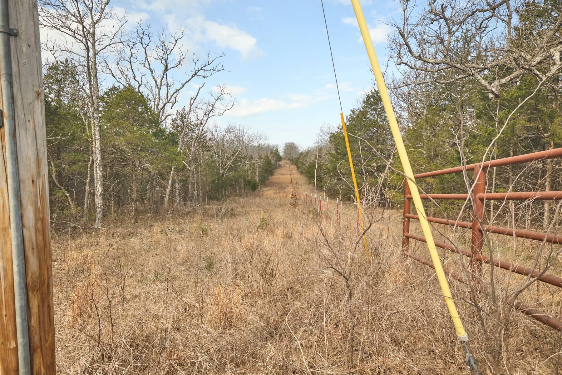 Photo 13 - Land for sale – 11239  Stave Mill Road  Mountain Grove, MO