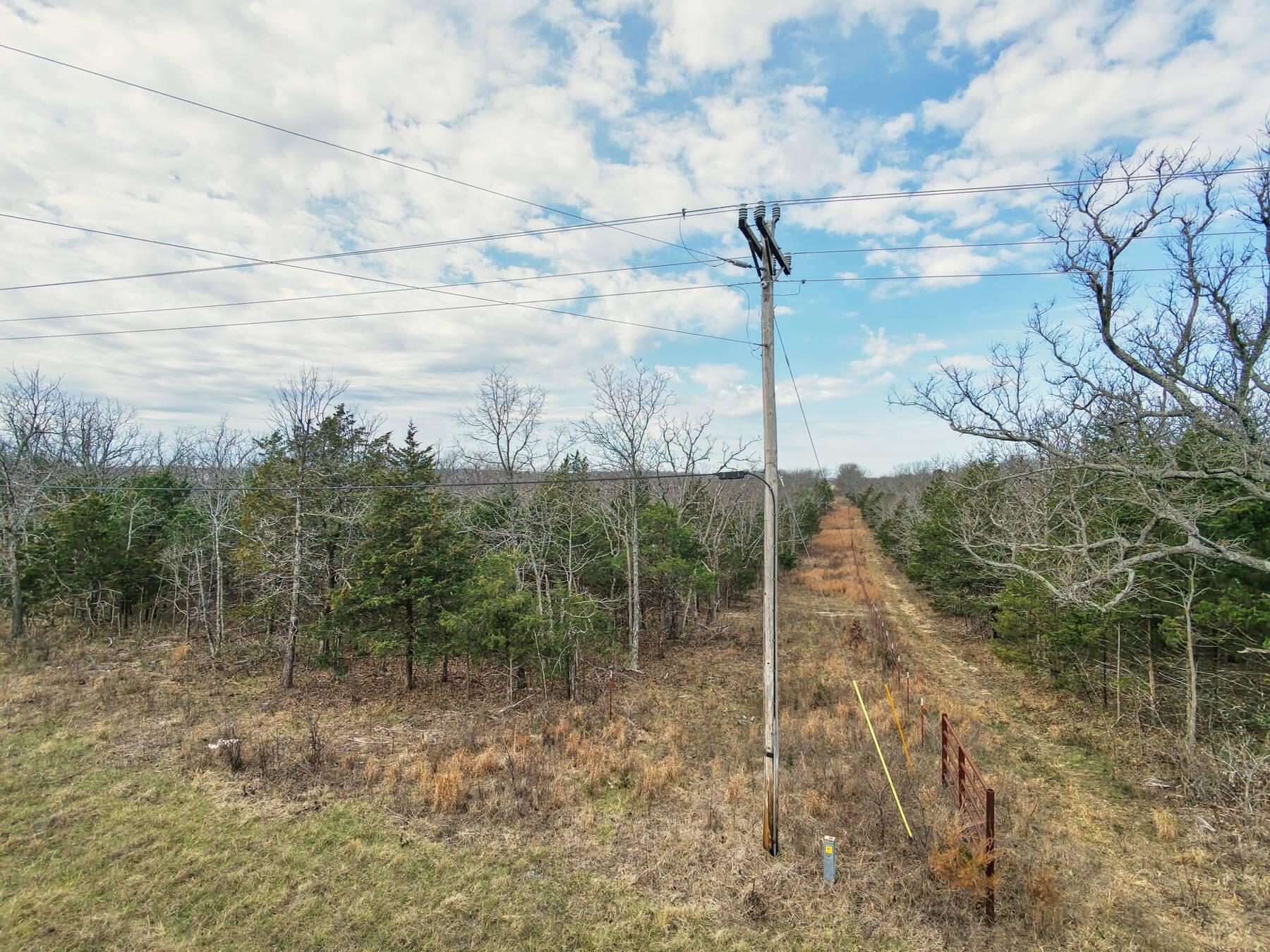 Photo 7 - Land for sale – 11239  Stave Mill Road  Mountain Grove, MO