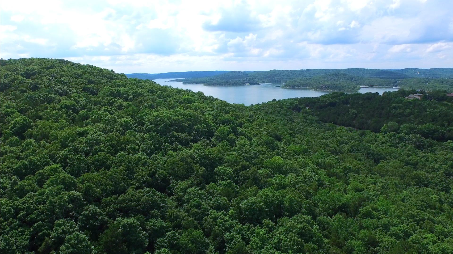 Photo 6 - Land for sale – Lot 3  Highway Jj & Twin Island Drive   Blue Eye, MO