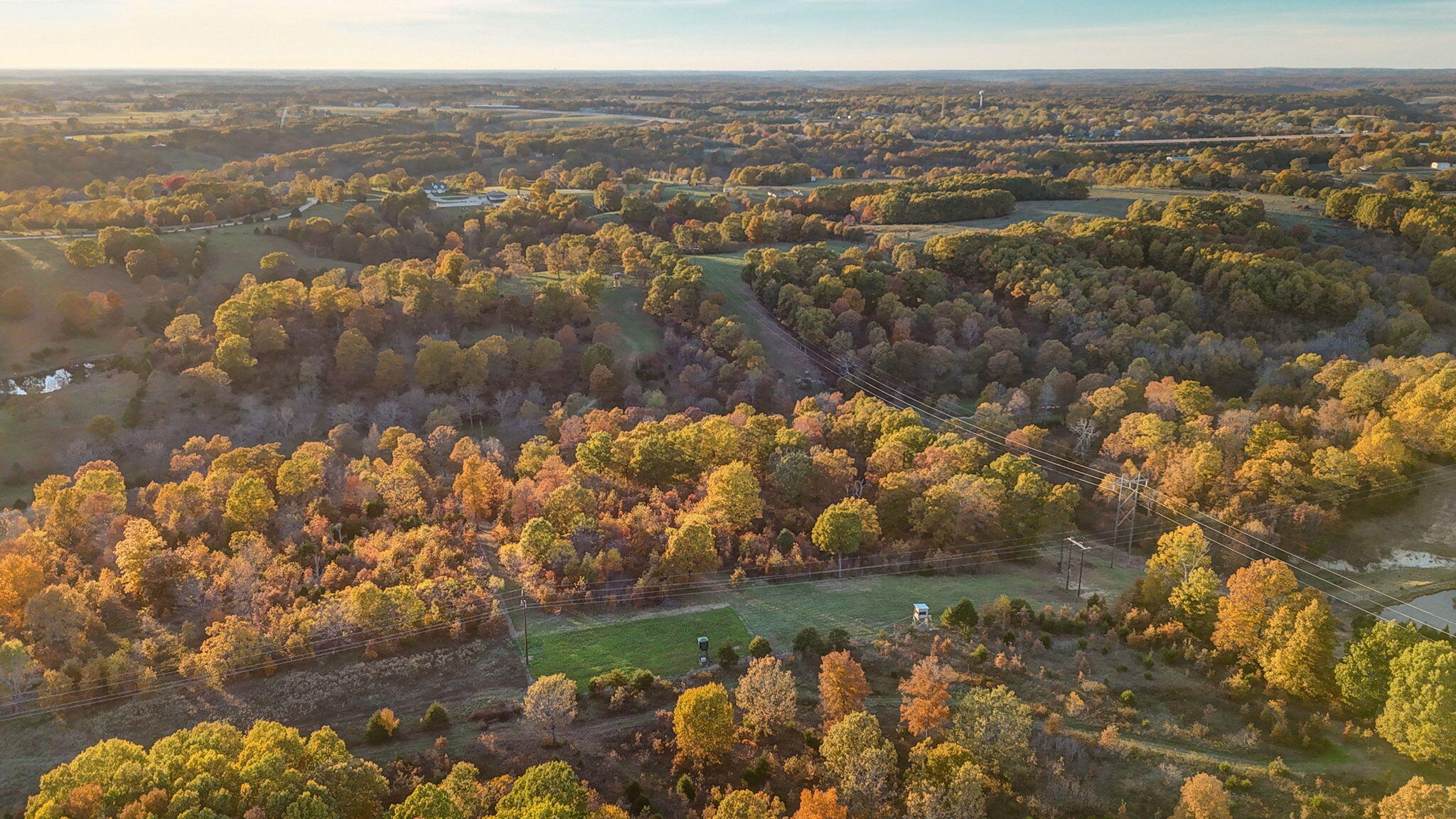Photo 4 - Land for sale – 000  Weatherby Drive  Fordland, MO
